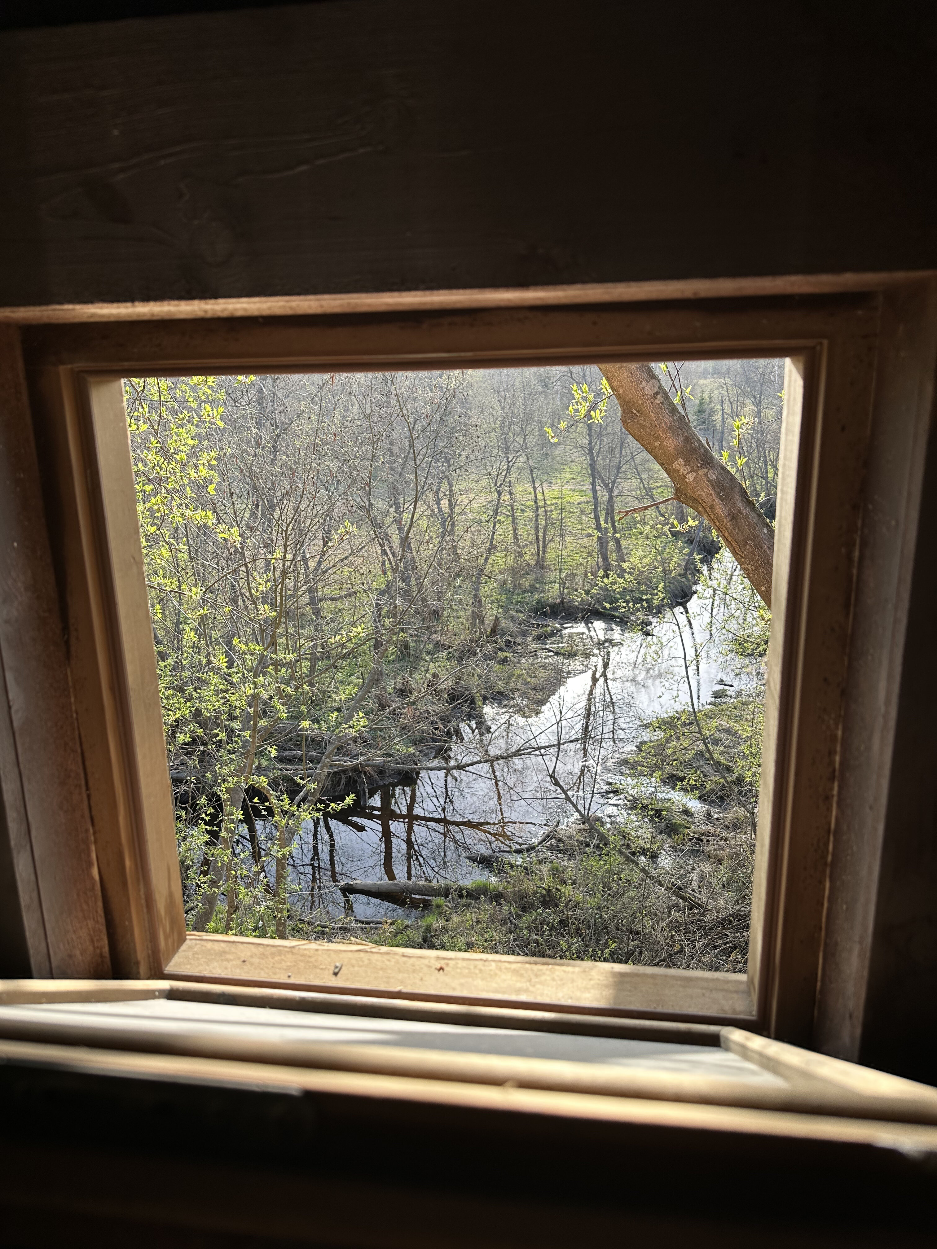 Фото Вудхаус