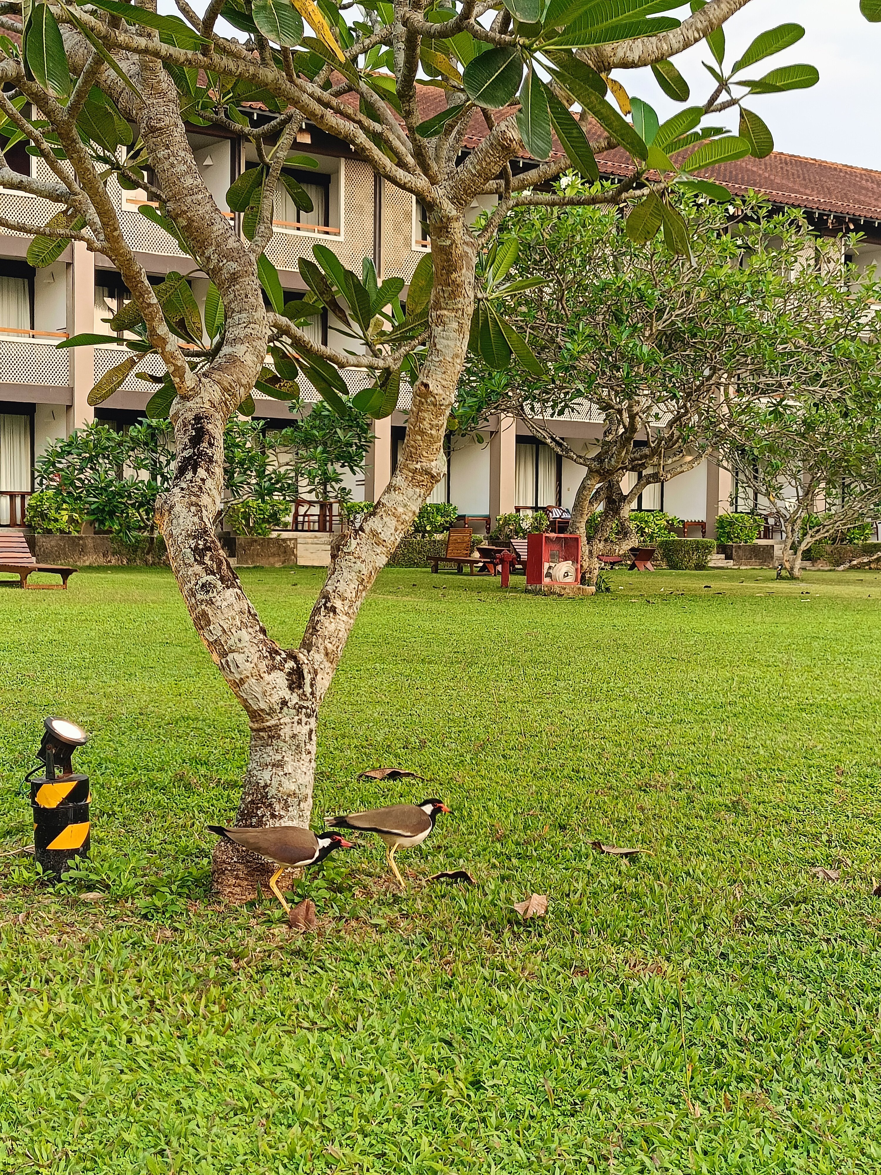 Фото Cinnamon Bey Beruwala