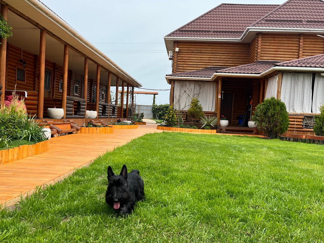 Фото Ранчо Беляус