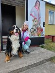Veterinary care (Marjina Gorka, Tenistaya ulitsa, 1), veterinary clinic