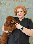 Milord (Krasnogorsky Boulevard, 36), pet salon