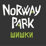 Norway park (Moscow Region, Istra Municipal District, lesopark Shishkin les), adventure park