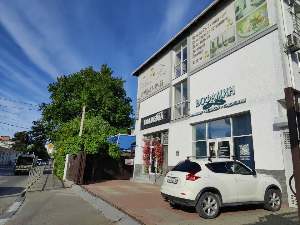 Фото Абрикос Плюс