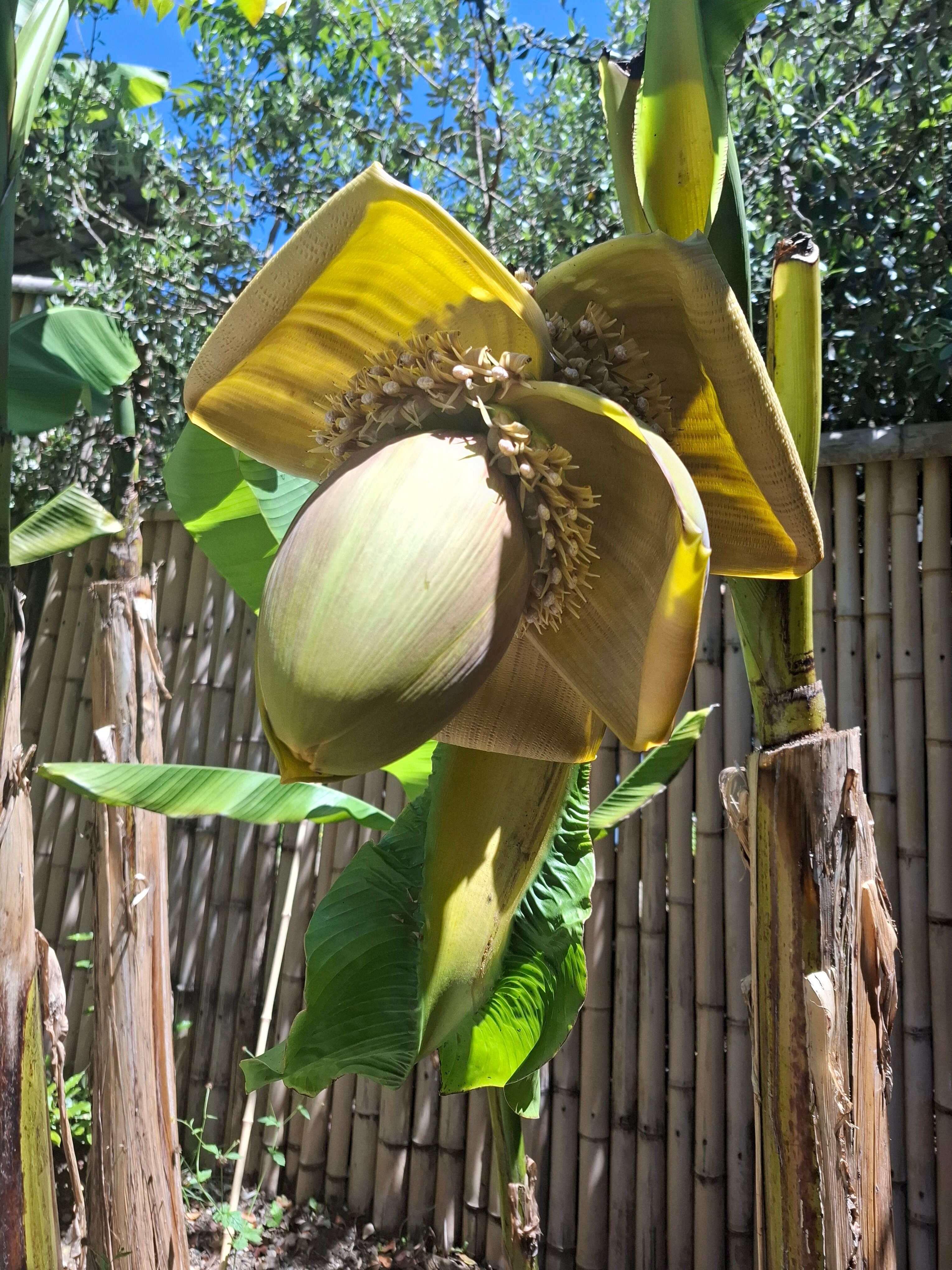 Фото Lodge Korkmaz