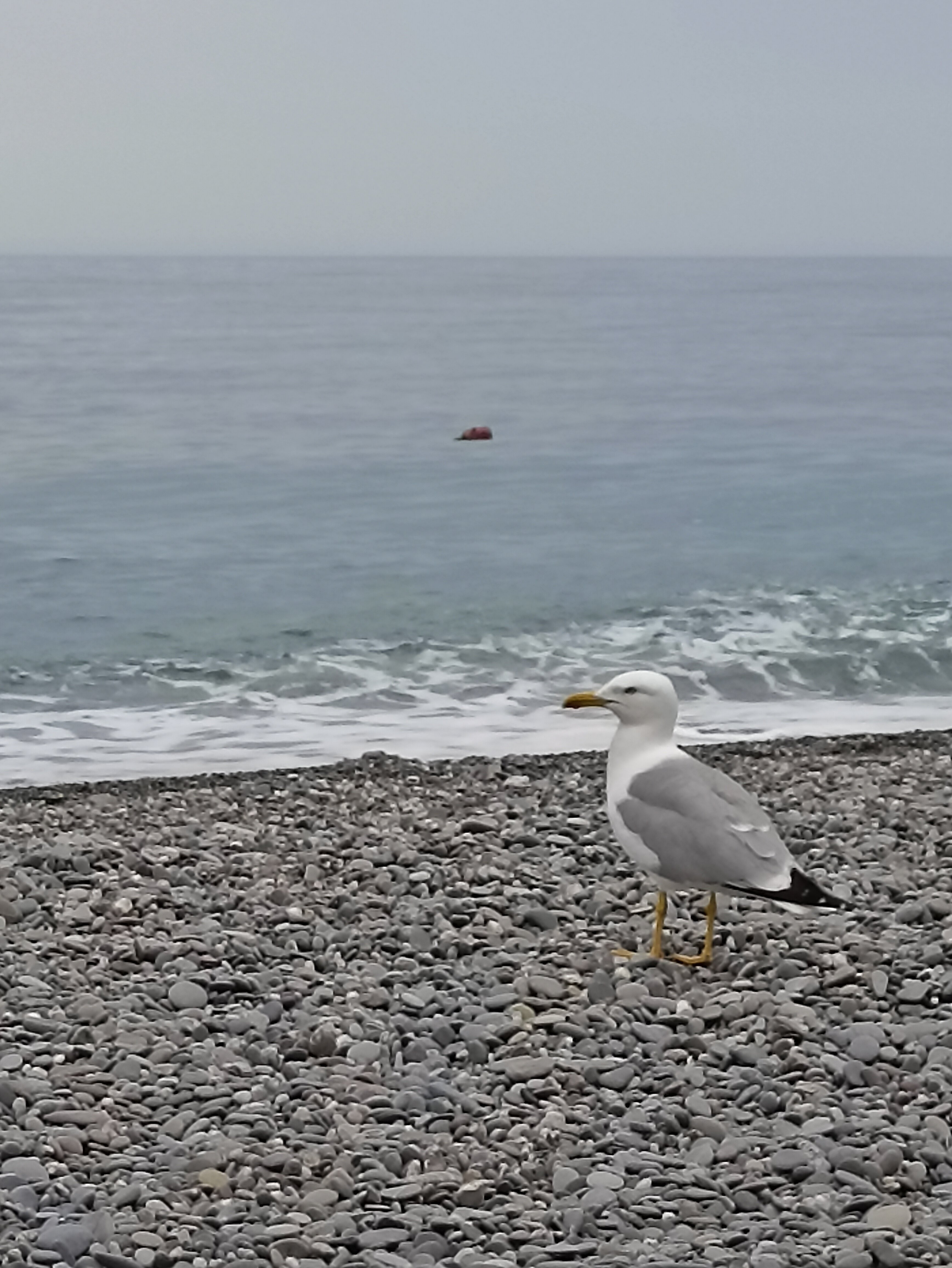 Фото Алушта на ладони