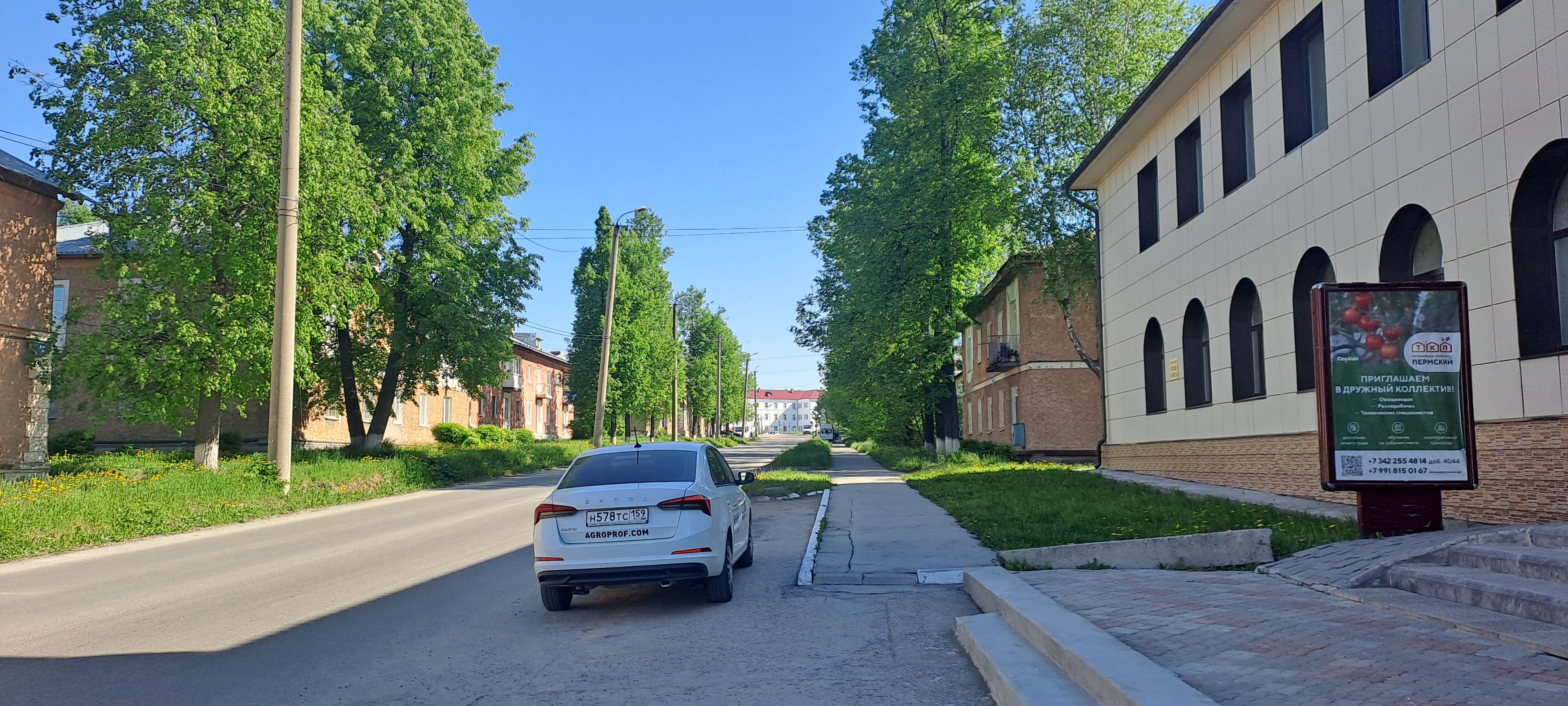 Фото Ассоль