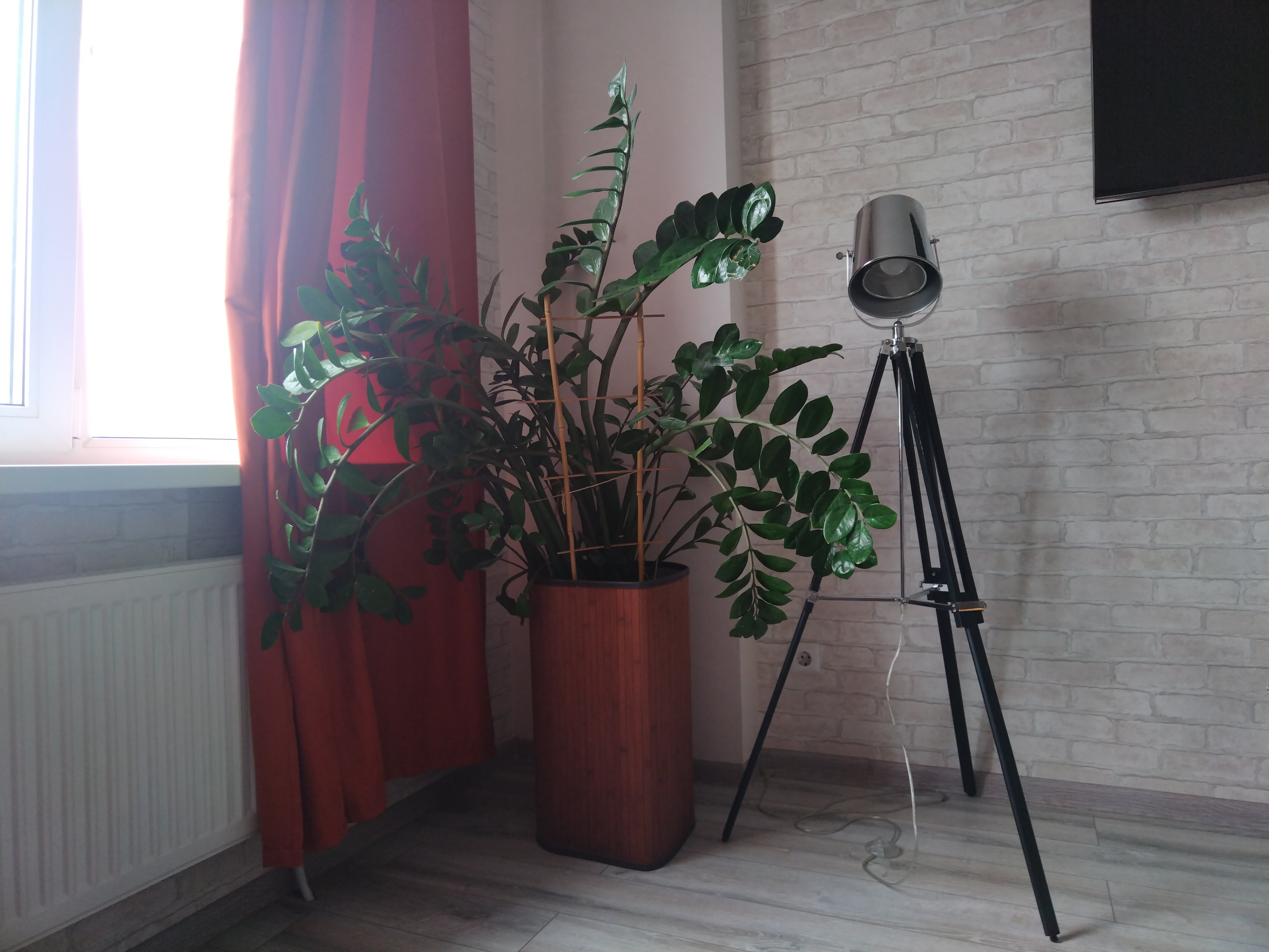 Фото Esenin Loft