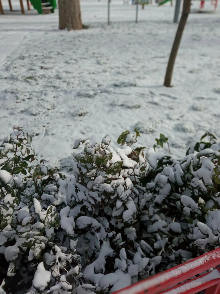 School School № 160, Yerevan, photo