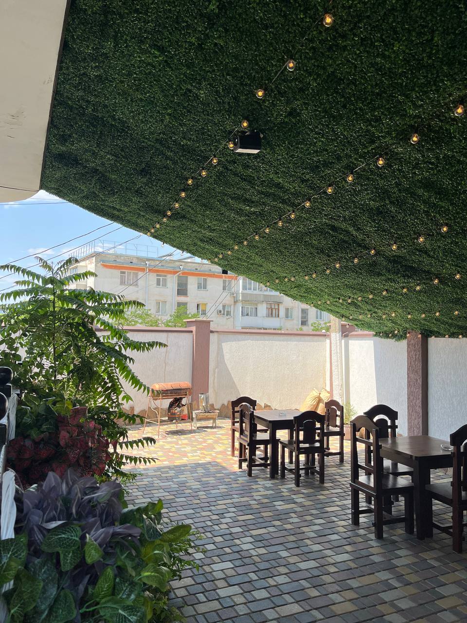 Фото Белый лебедь