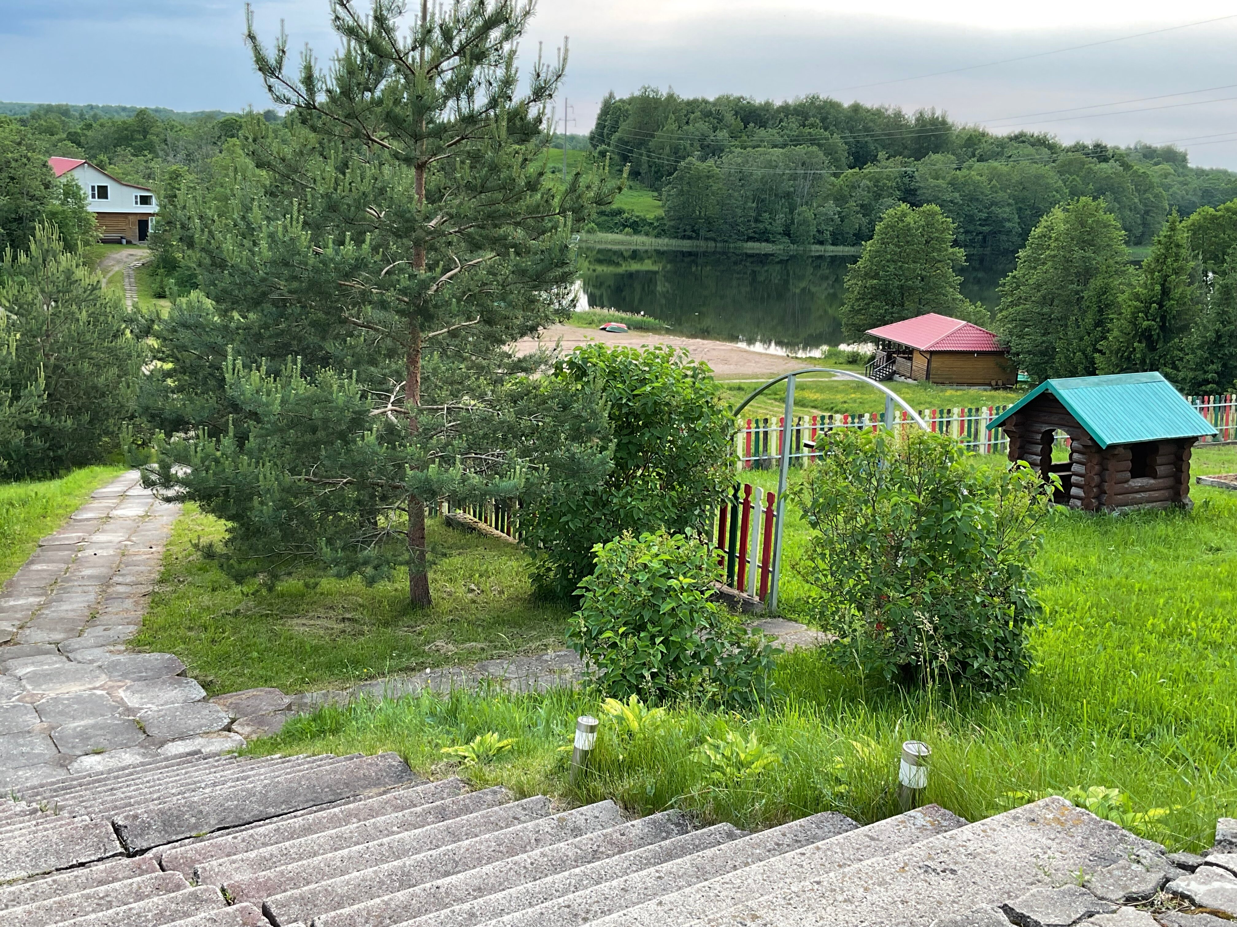 Фото Лесная гавань