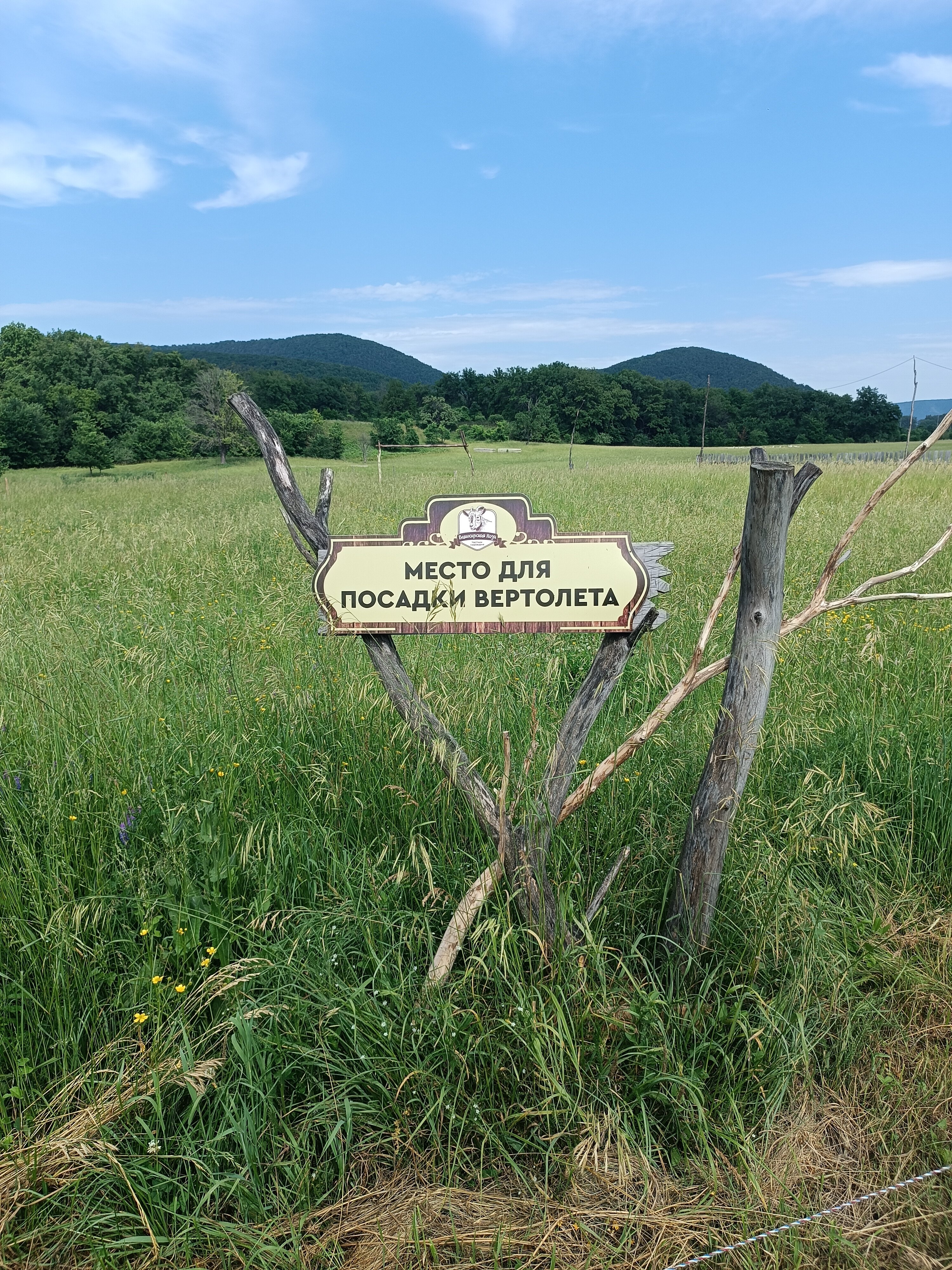 Фото Башкирская коза