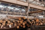 Лесопромышленая компания (Ivanovo Region, Vichuga, mikrorayon Bunkovo), woodworking enterprise