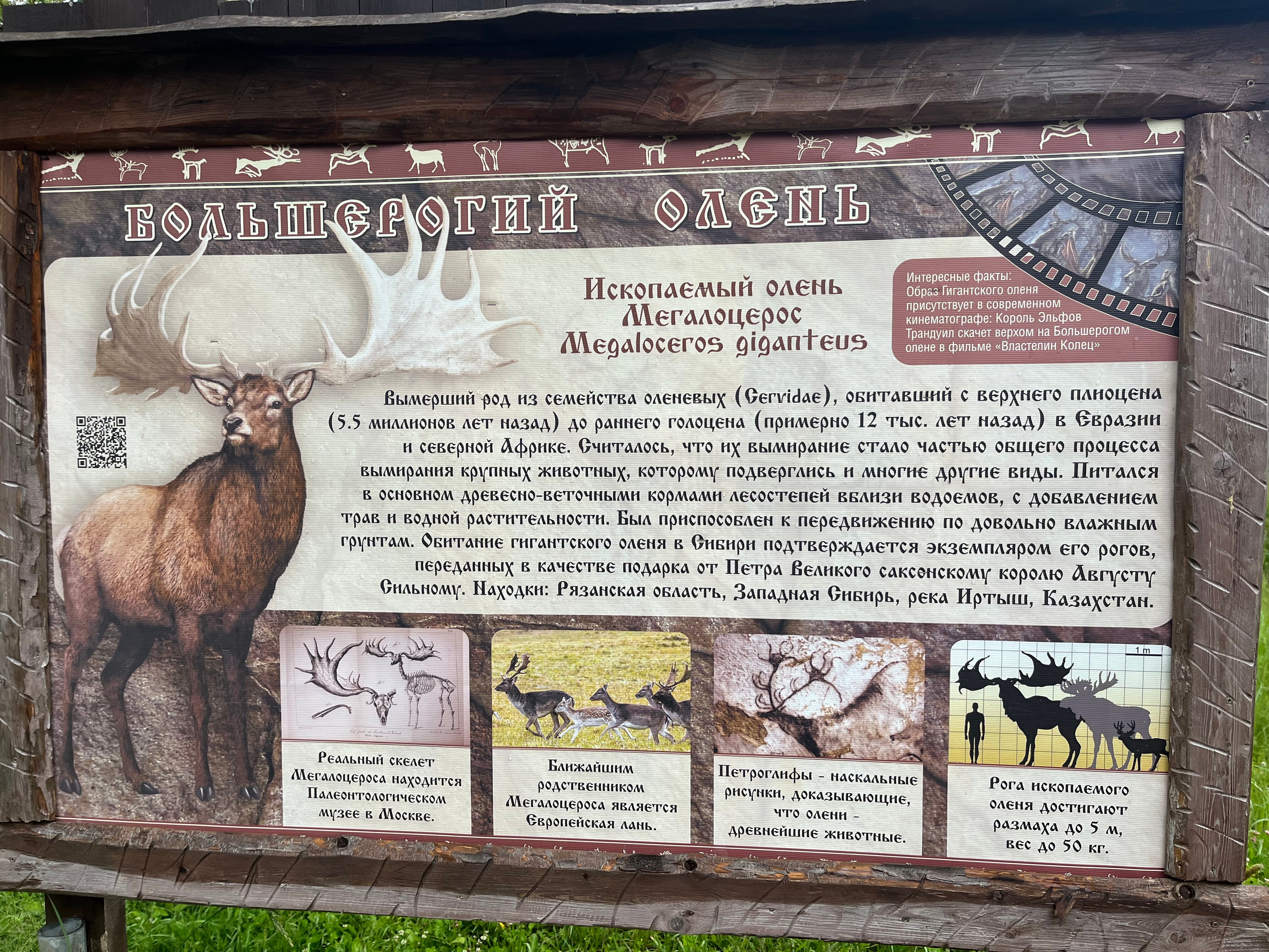 Фото Оленья ферма СудимирЪ