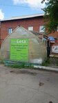 Sota (ulitsa Ordzhonikidze, 31) ، معدات الدفيئة