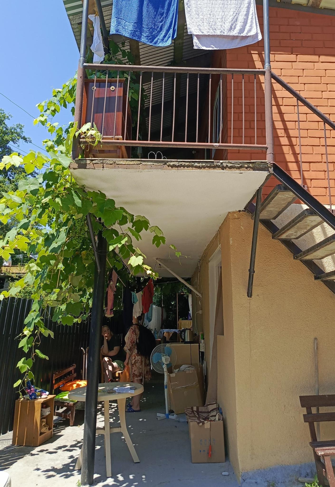 Фото Под пальмой