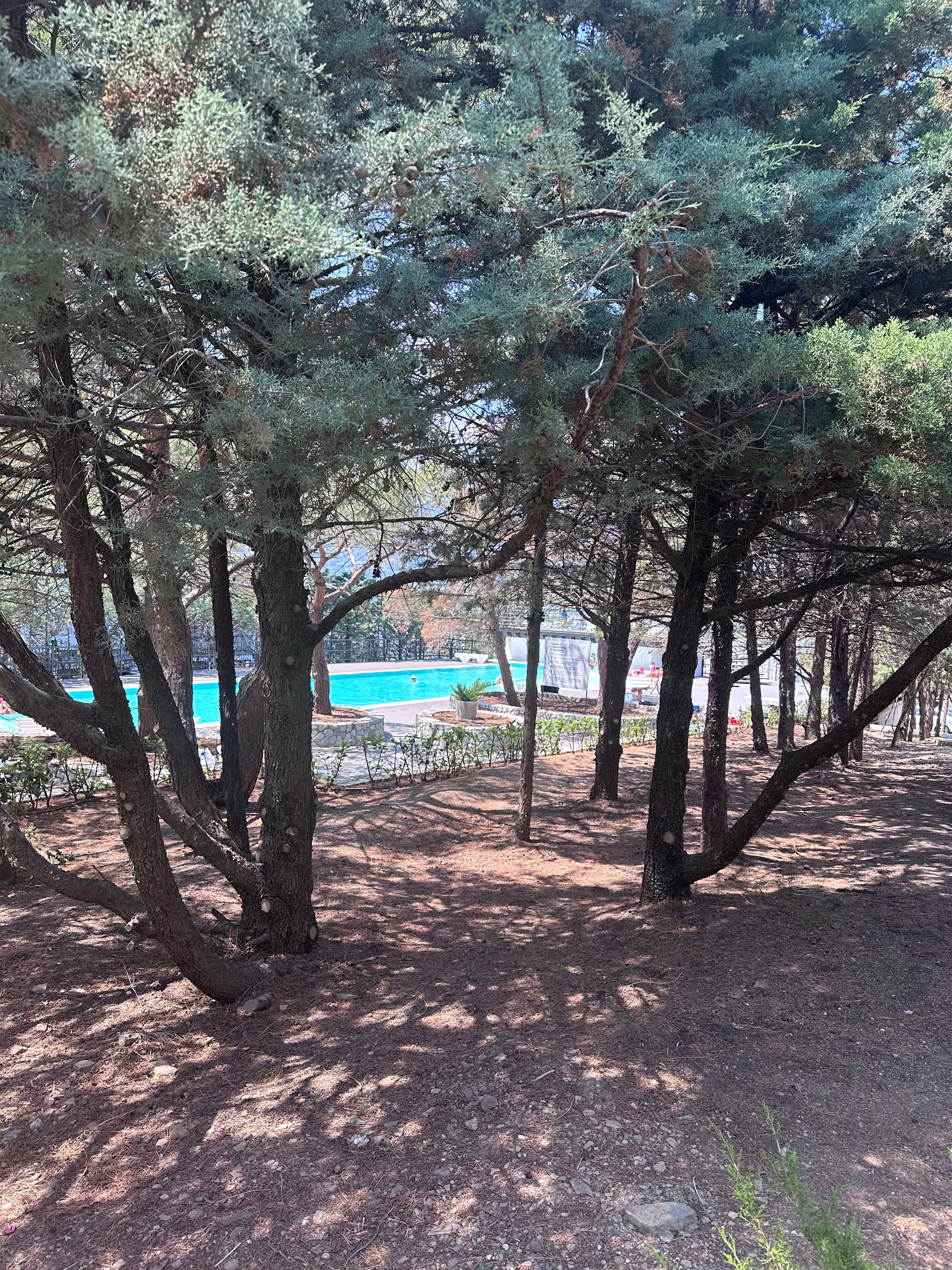 Фото Апарт Лучистое