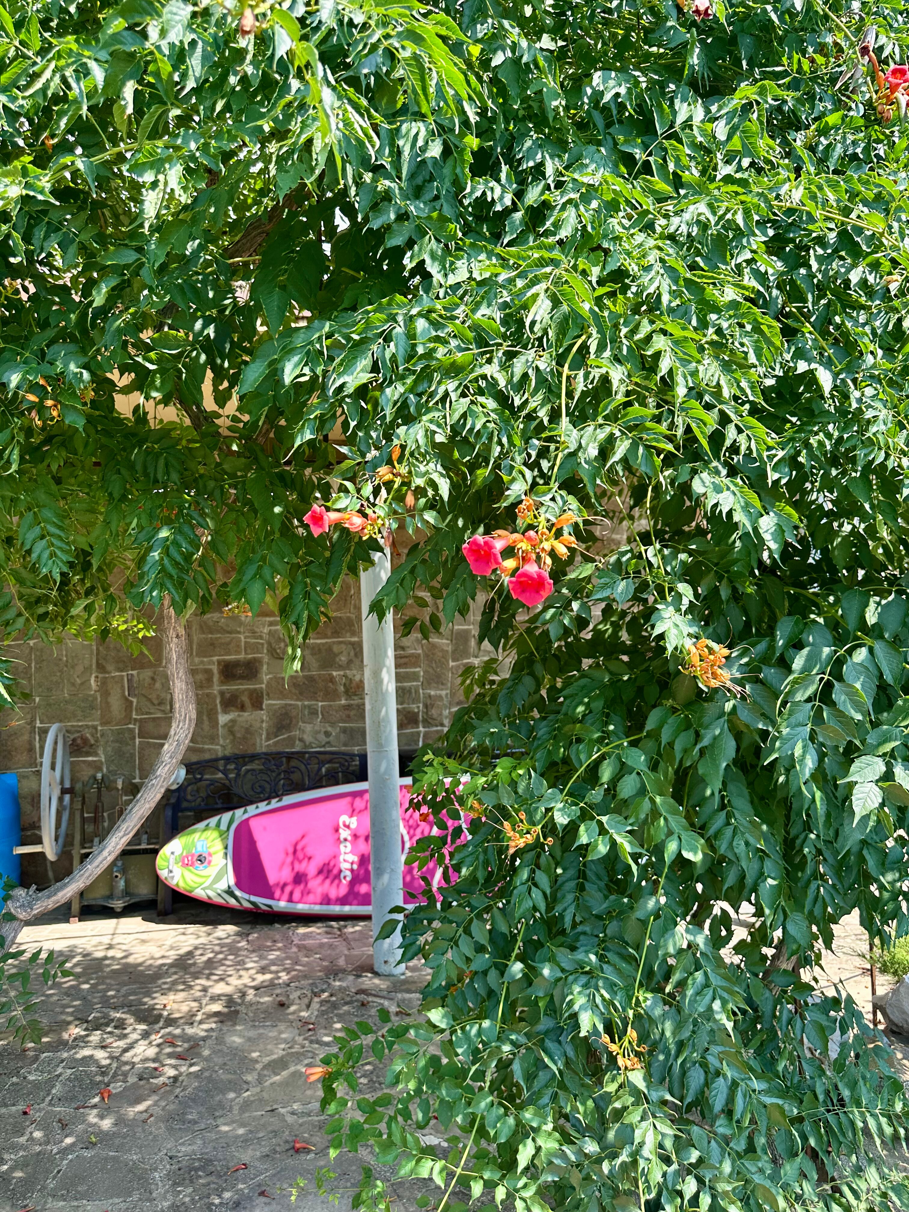 Фото Никитская Слобода