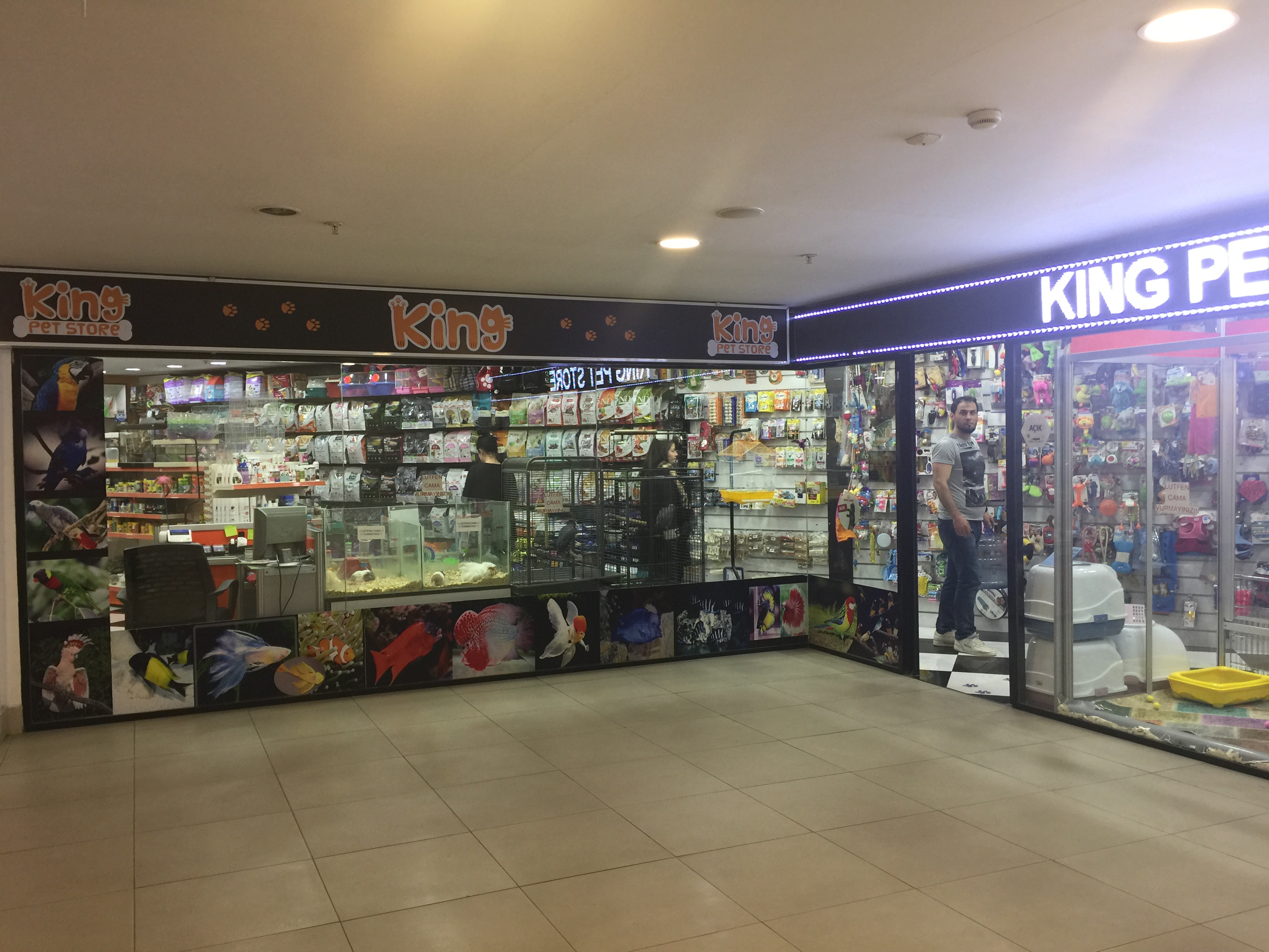 King Pet Store pet shop stanbul Atasehir K kbakkalk y Mah