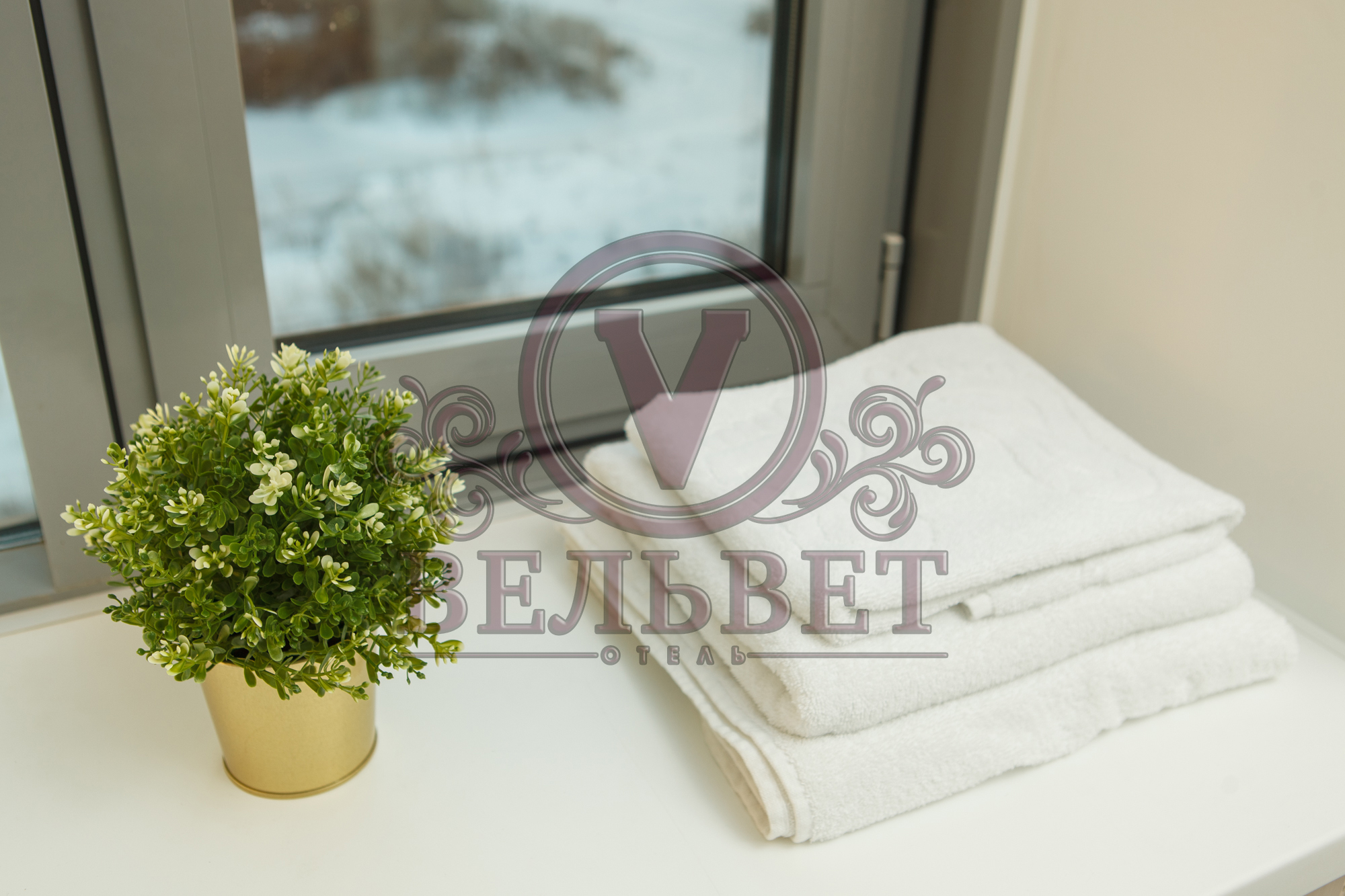 Фото Вельвет