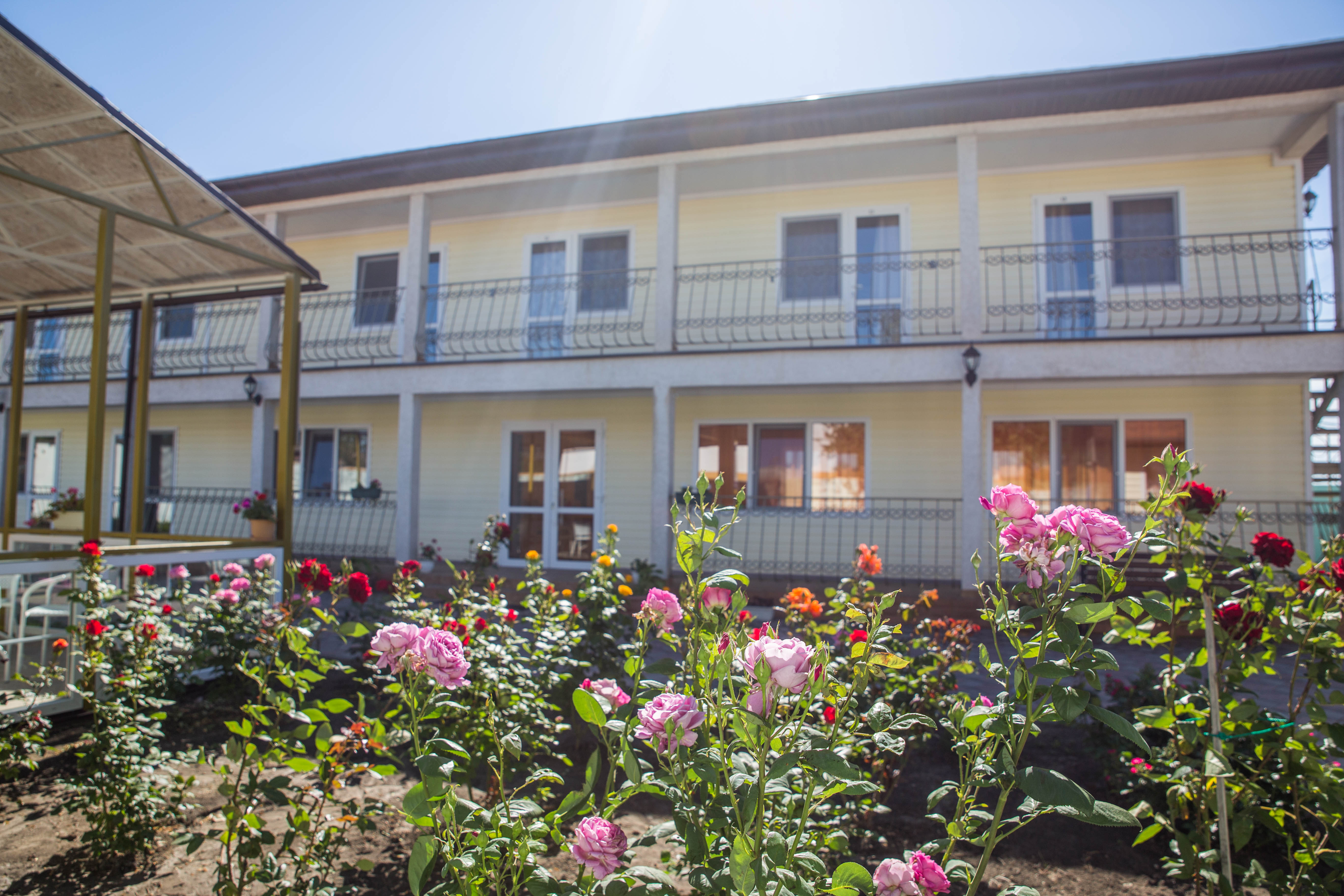 Фото Светлана