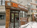 Gadget Market Xiaomi Apple (Maksima Gorkogo Street, 64/1), electronics store