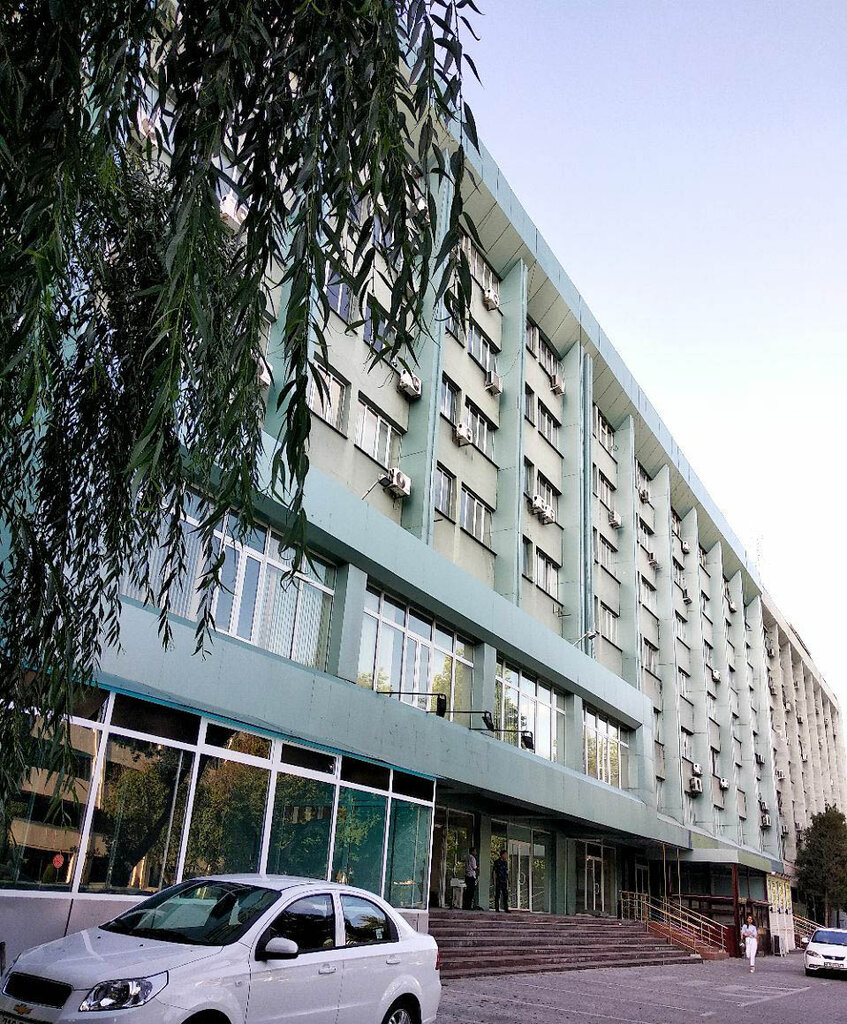 Web design studio Vektor Media, Tashkent, photo