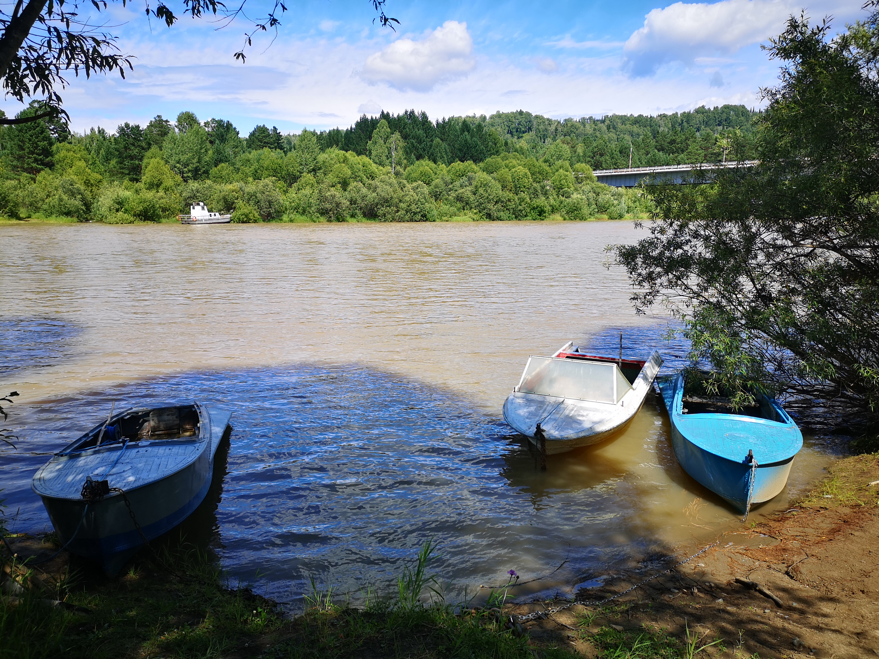 Фото Усадьба Лебедь
