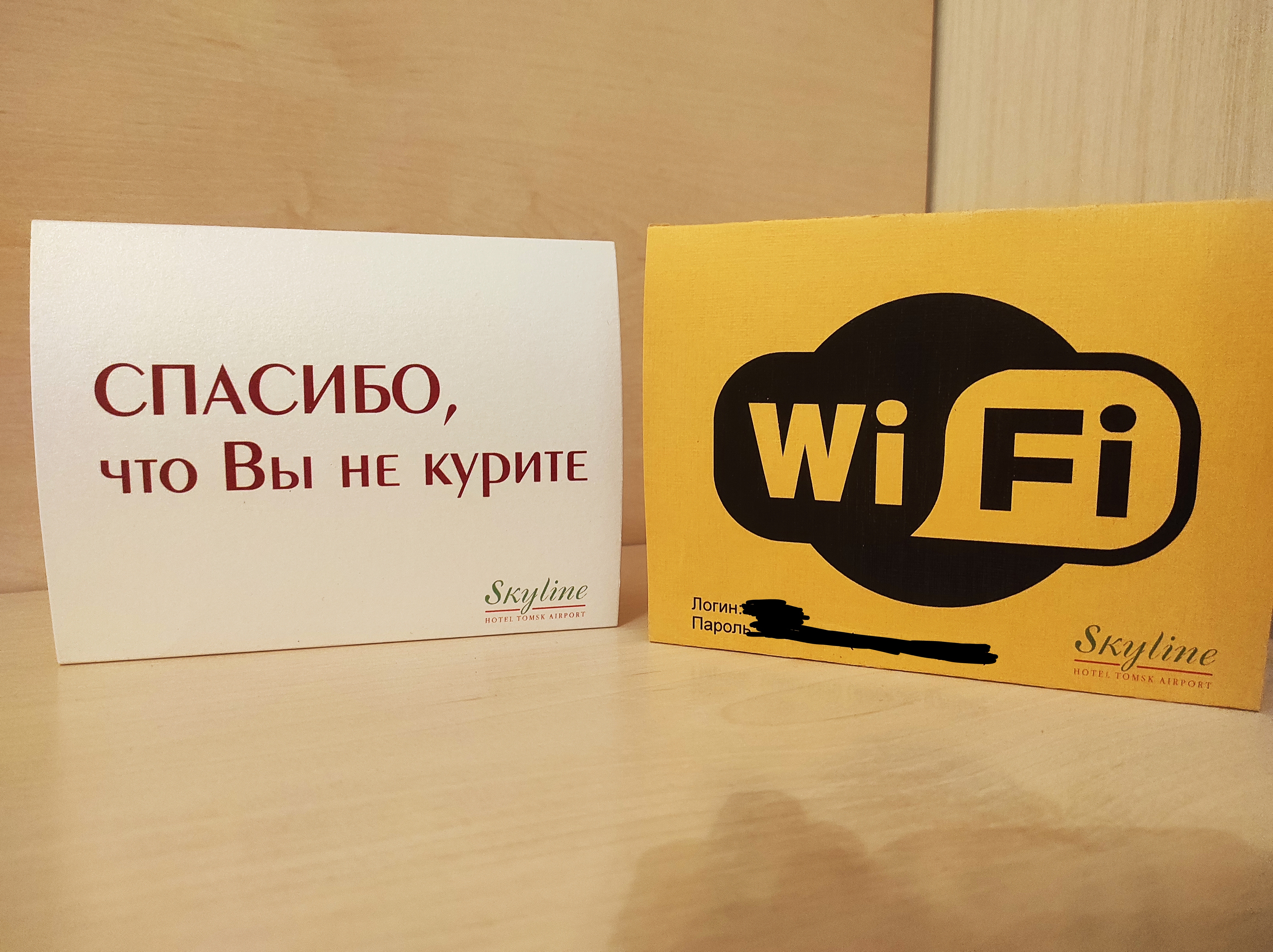 Фото Скайлайн 