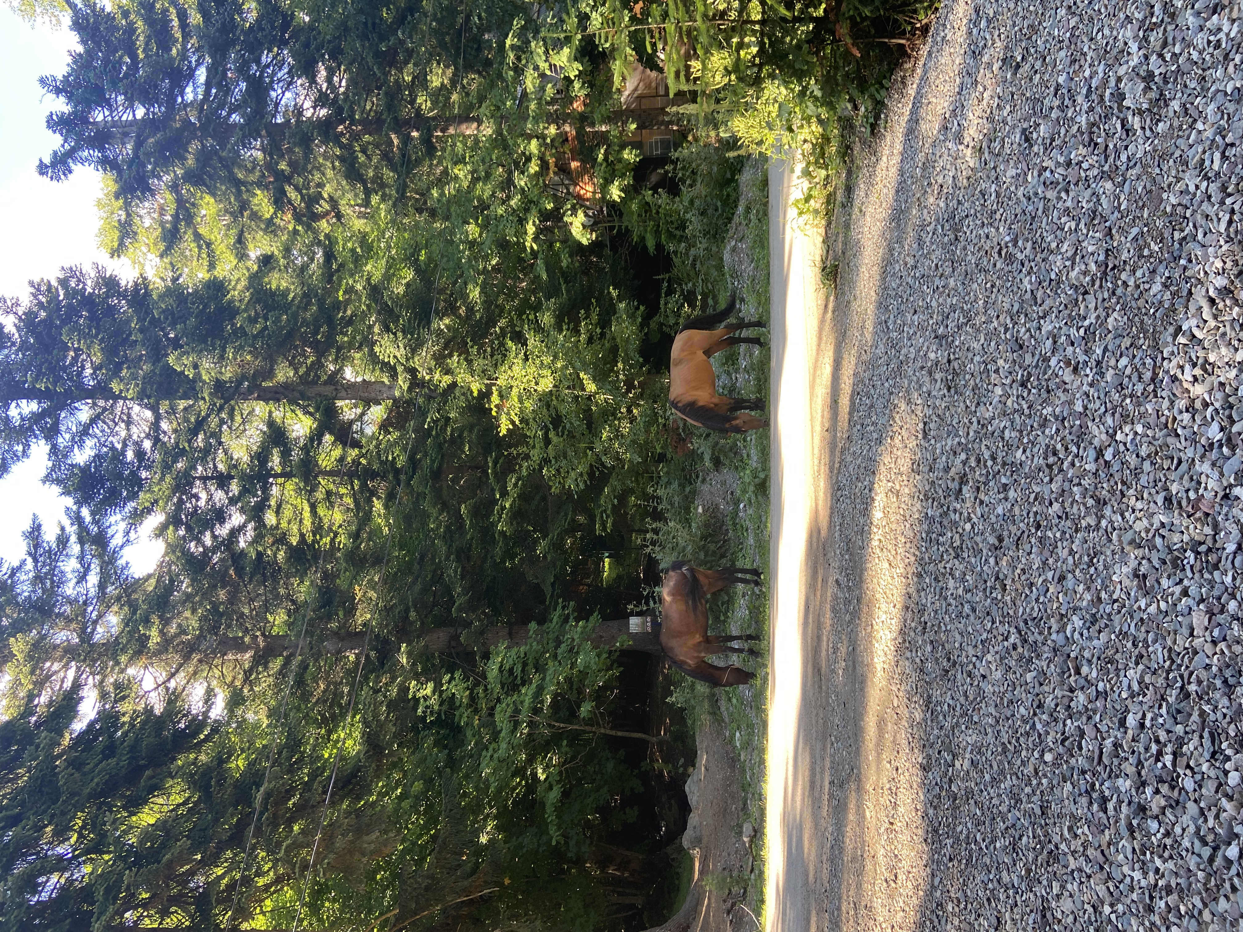 Фото Shantivillas