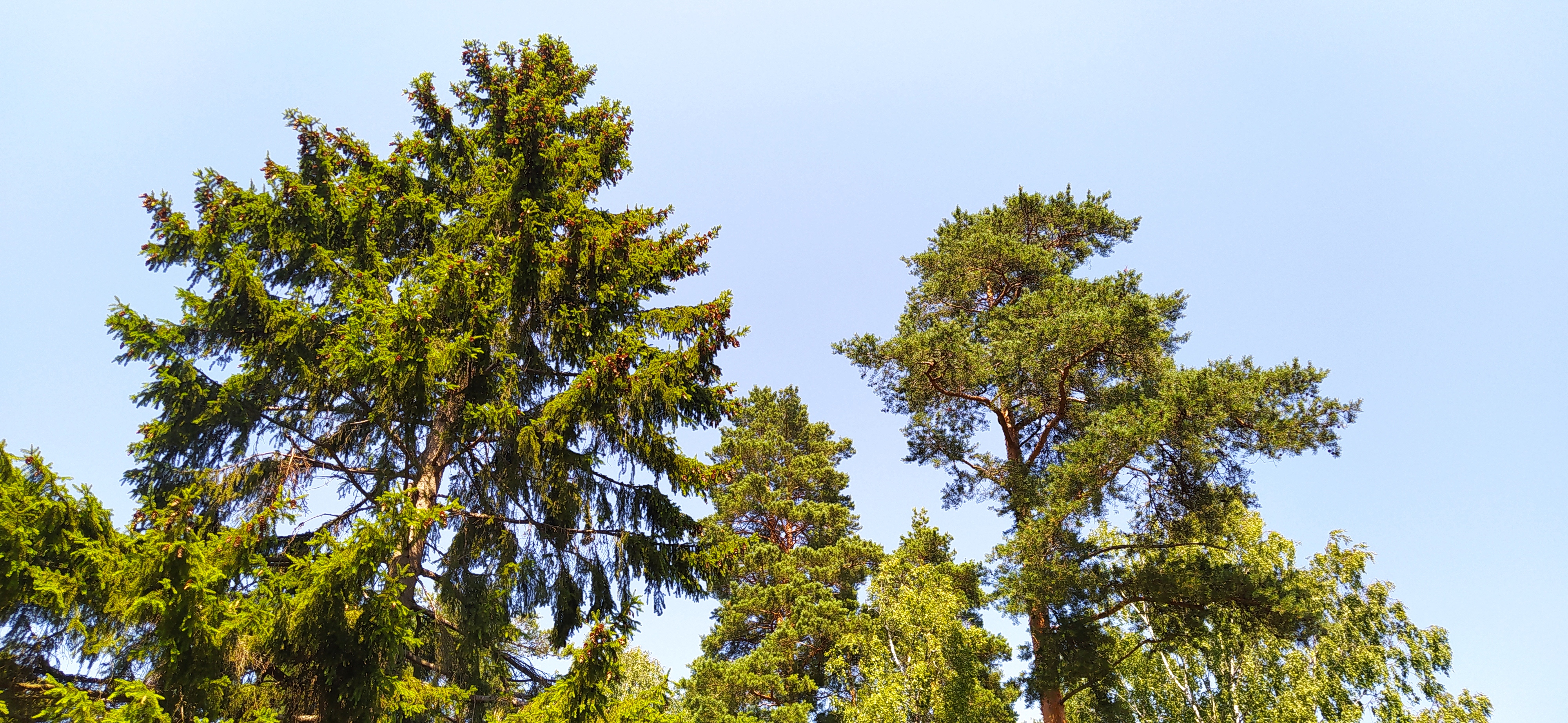 Фото Дом творчества Архитектор