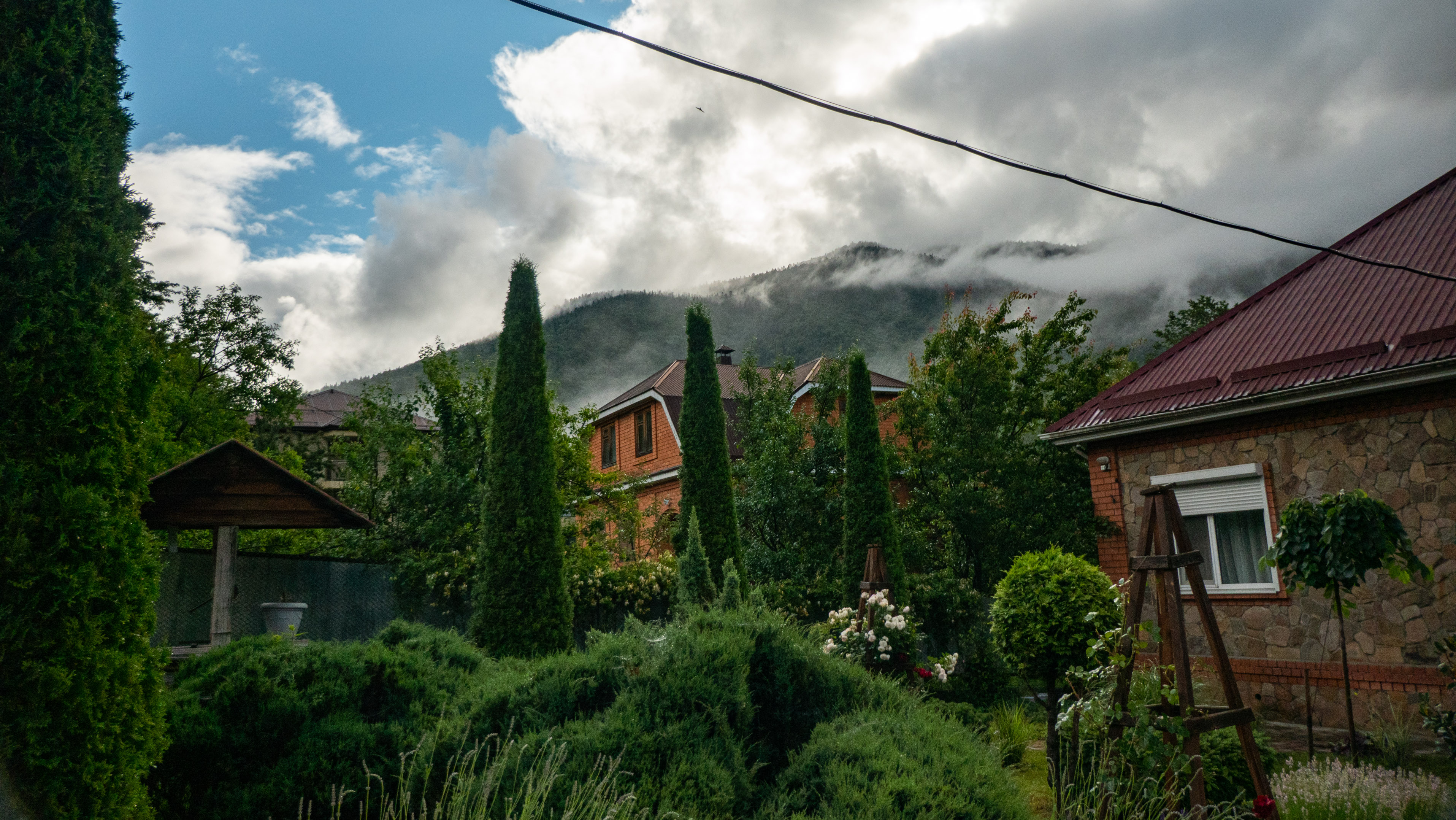 Фото Volkov Family