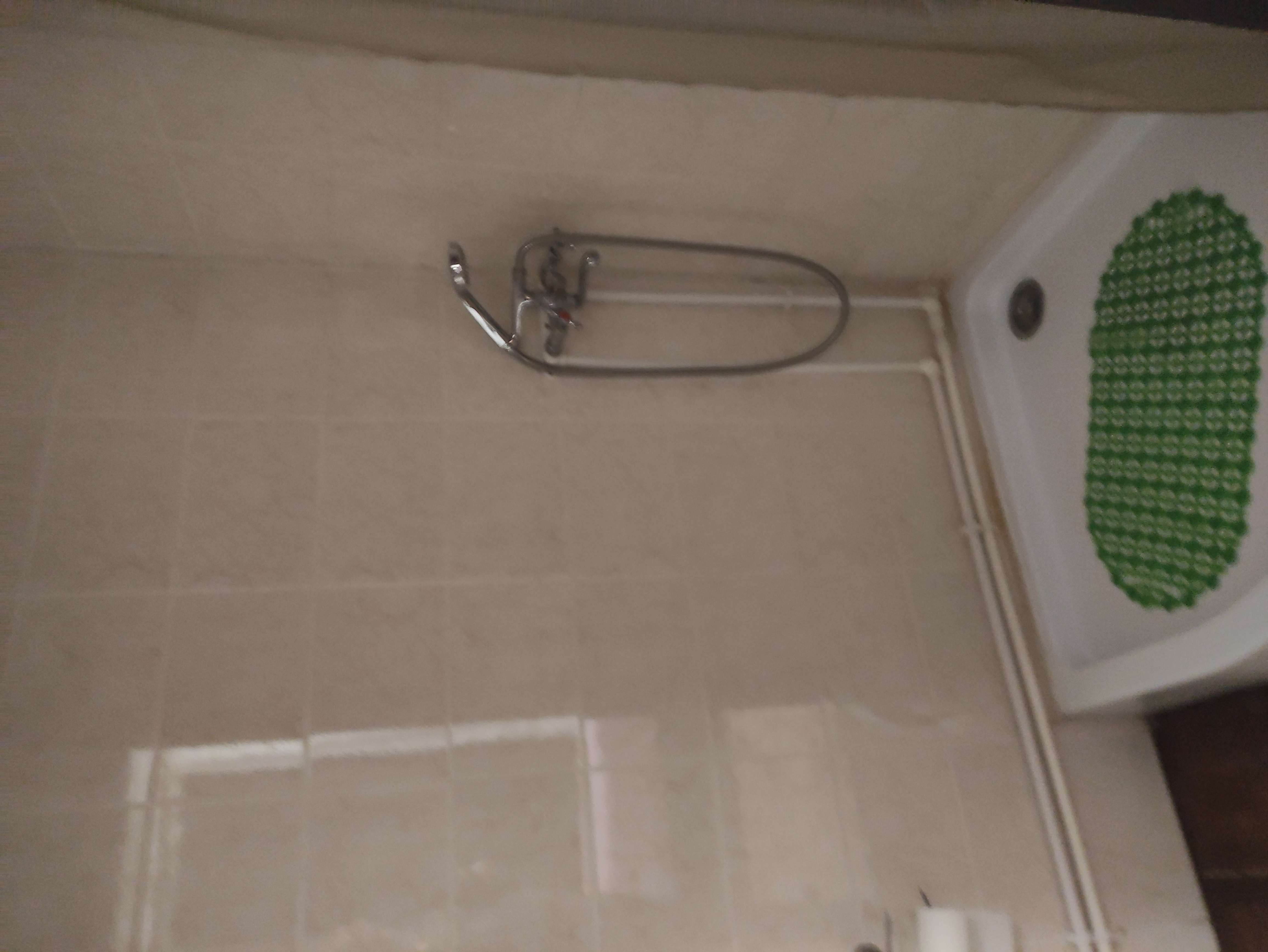 Фото Базилик