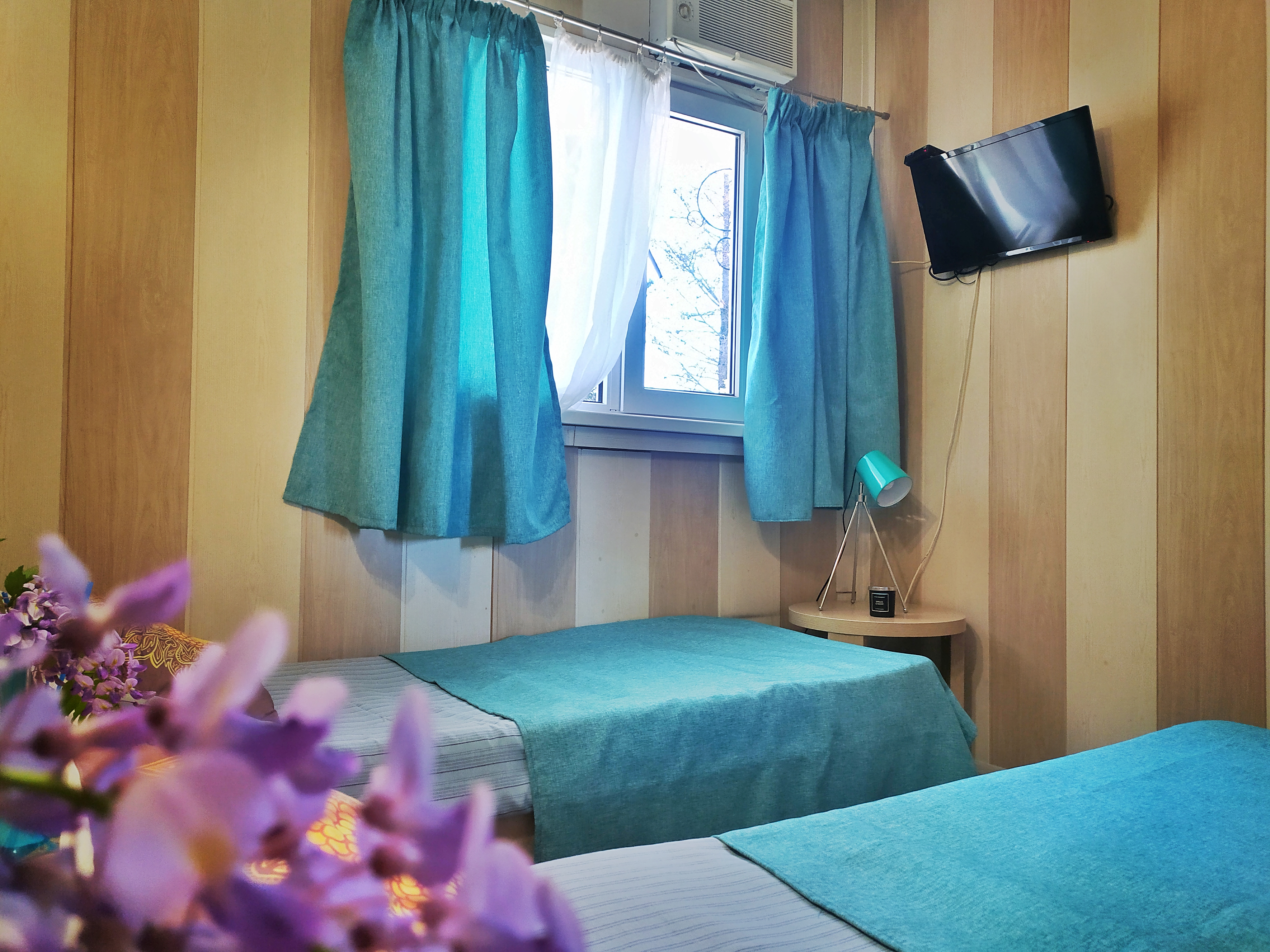 Фото Гостевой дом Шанти