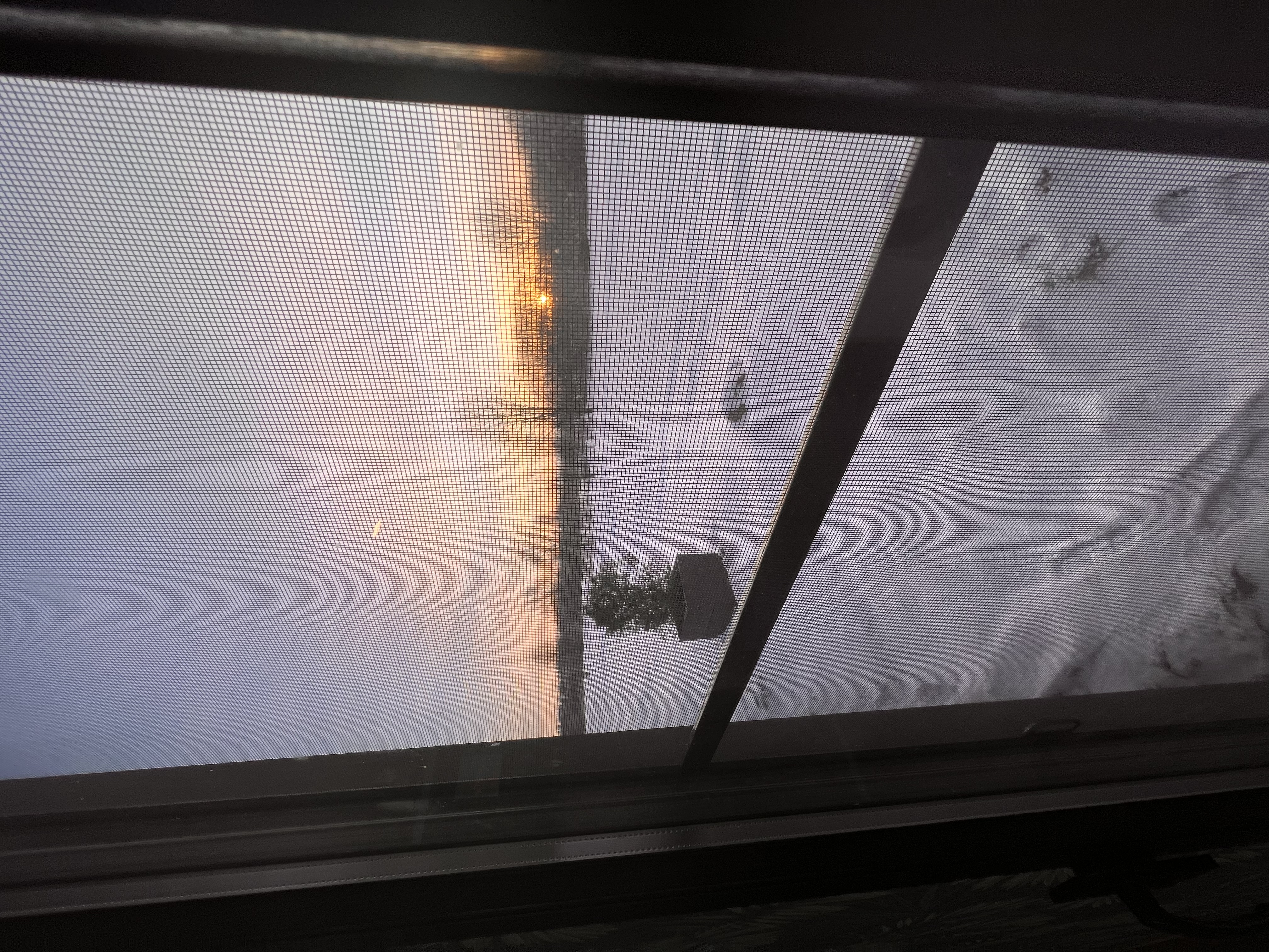 Фото ForrestHome