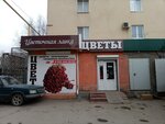 Цветочная Лавка (просп. имени Ленина, 95), магазин цветов в Волжском
