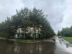 Сушиточка (Izhorskaya Street, 8А) ، خدمة توصيل الطعام