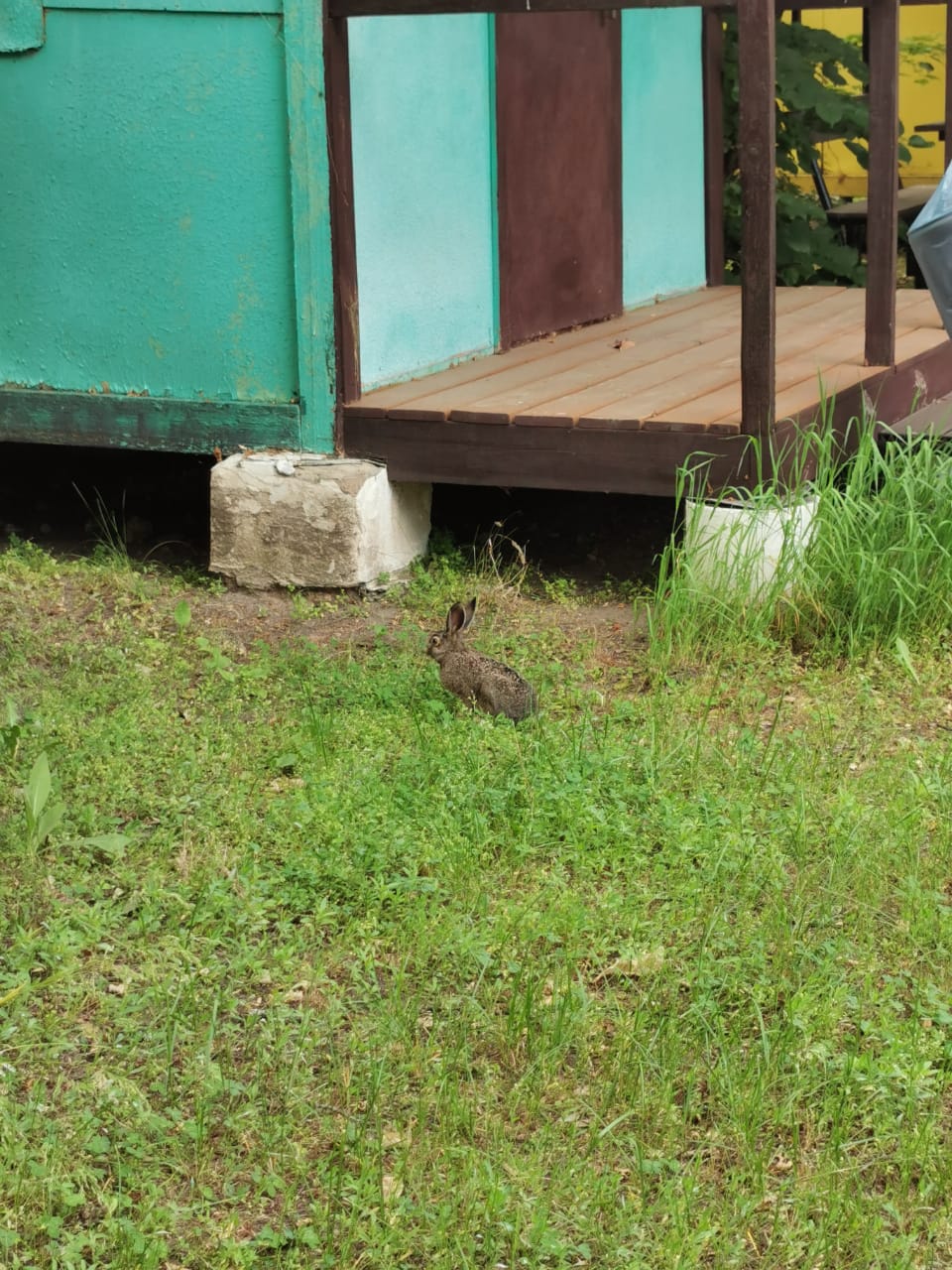 Фото Черкасский затон