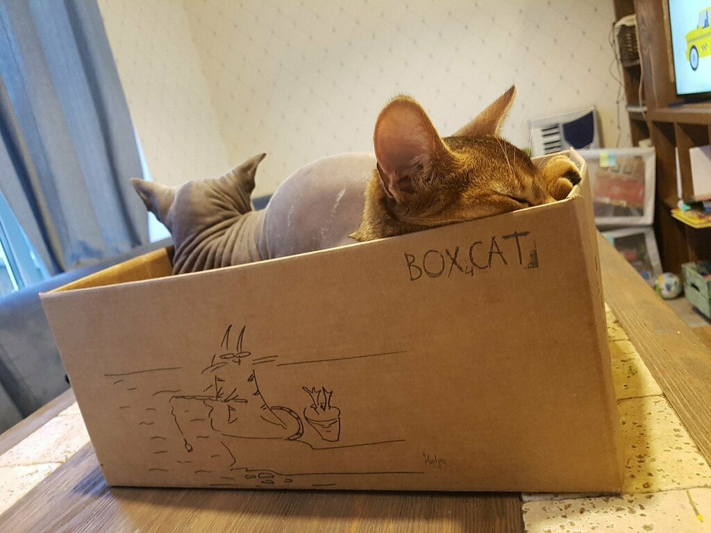 Art cluster Workshop Cat-inbox, Pskov, photo