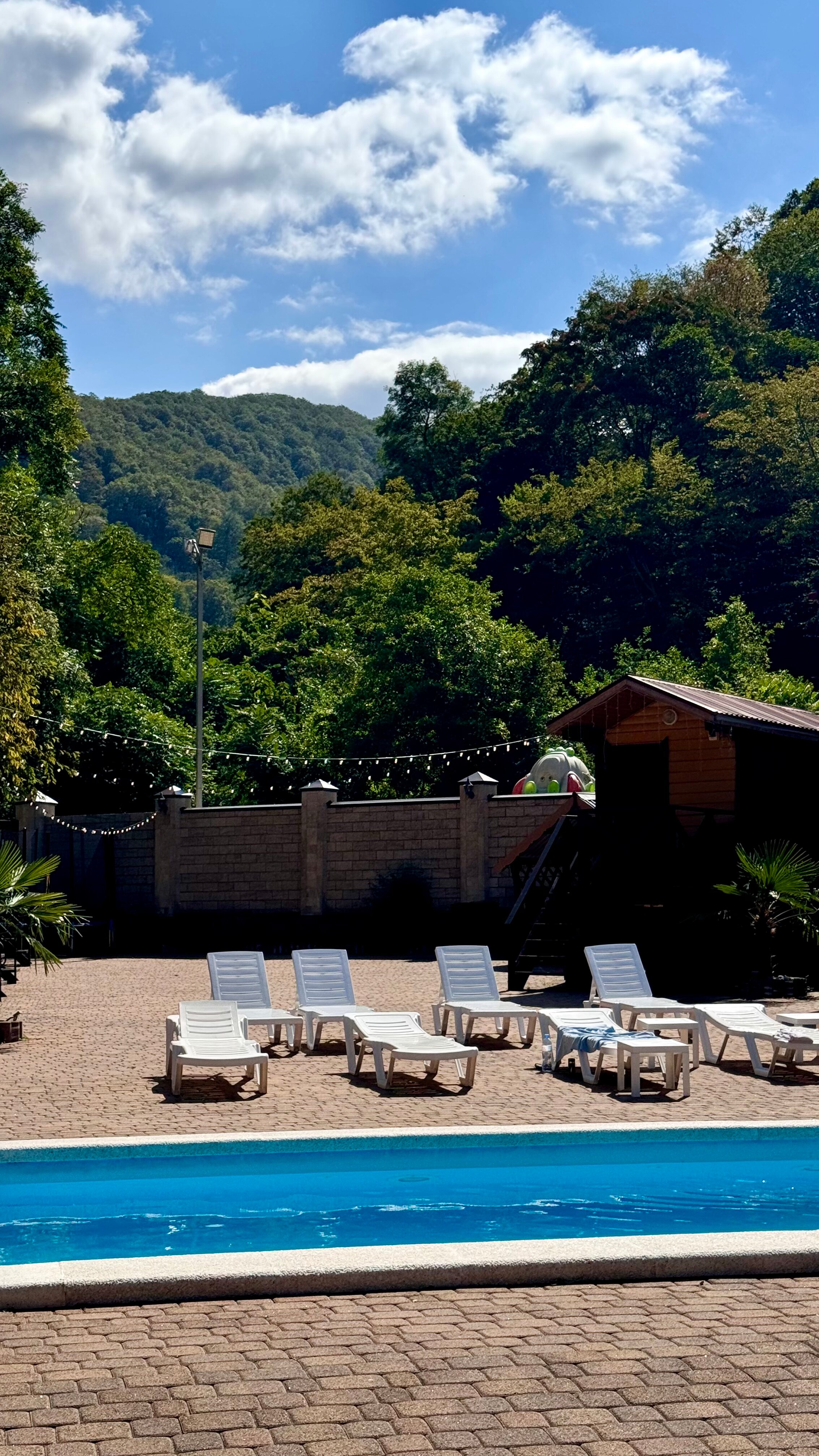 Фото Лесное поместье