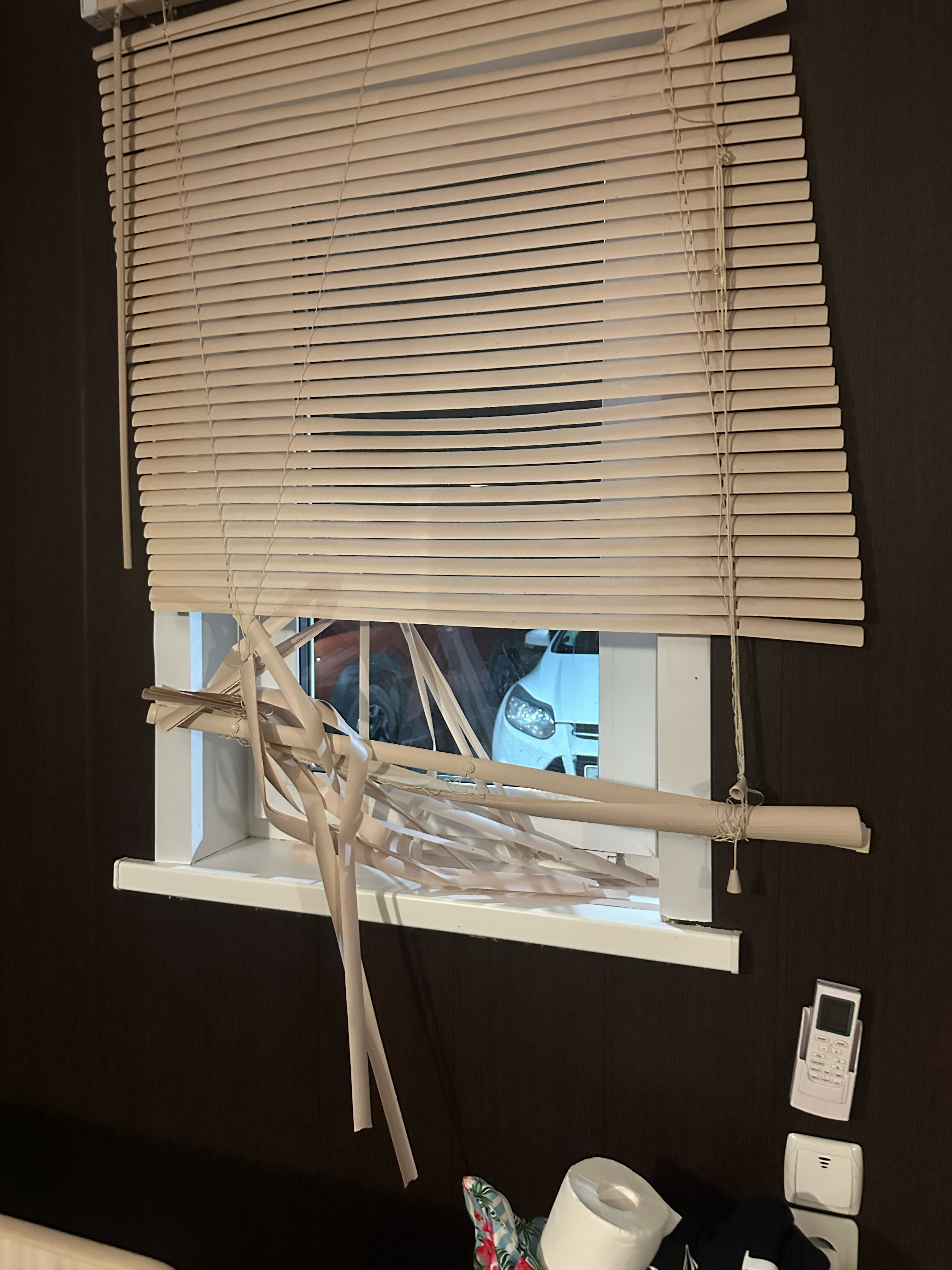 Фото Арарат