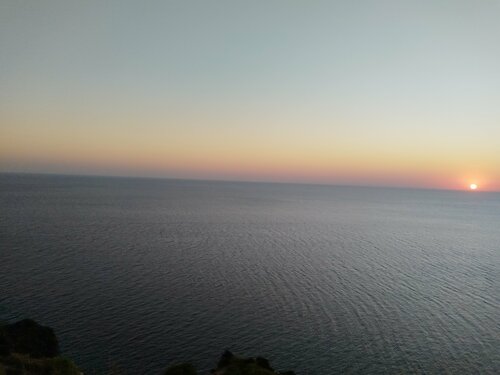 Жарғанаттың еблятын суреті