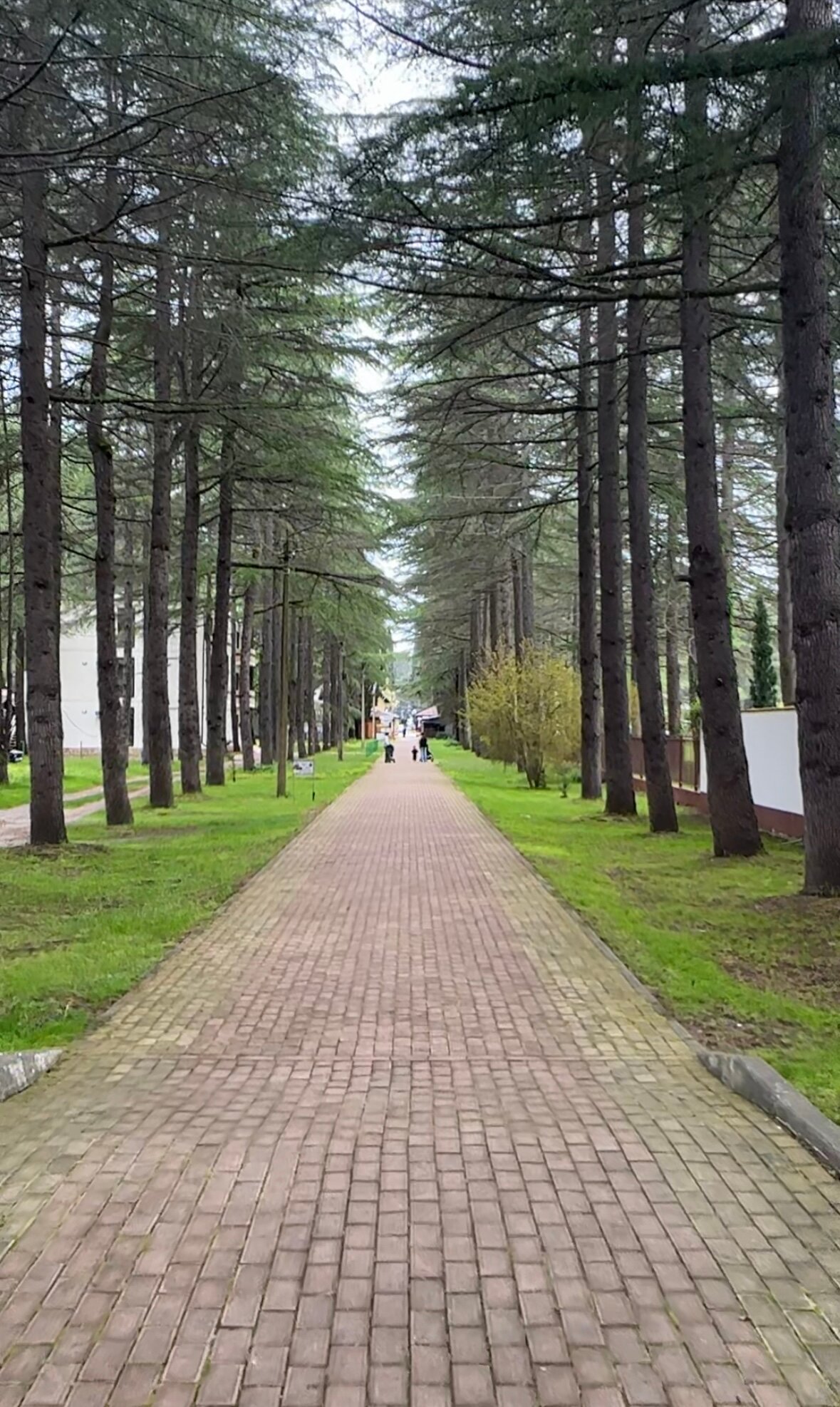 Фото Гостевой Дом Амра