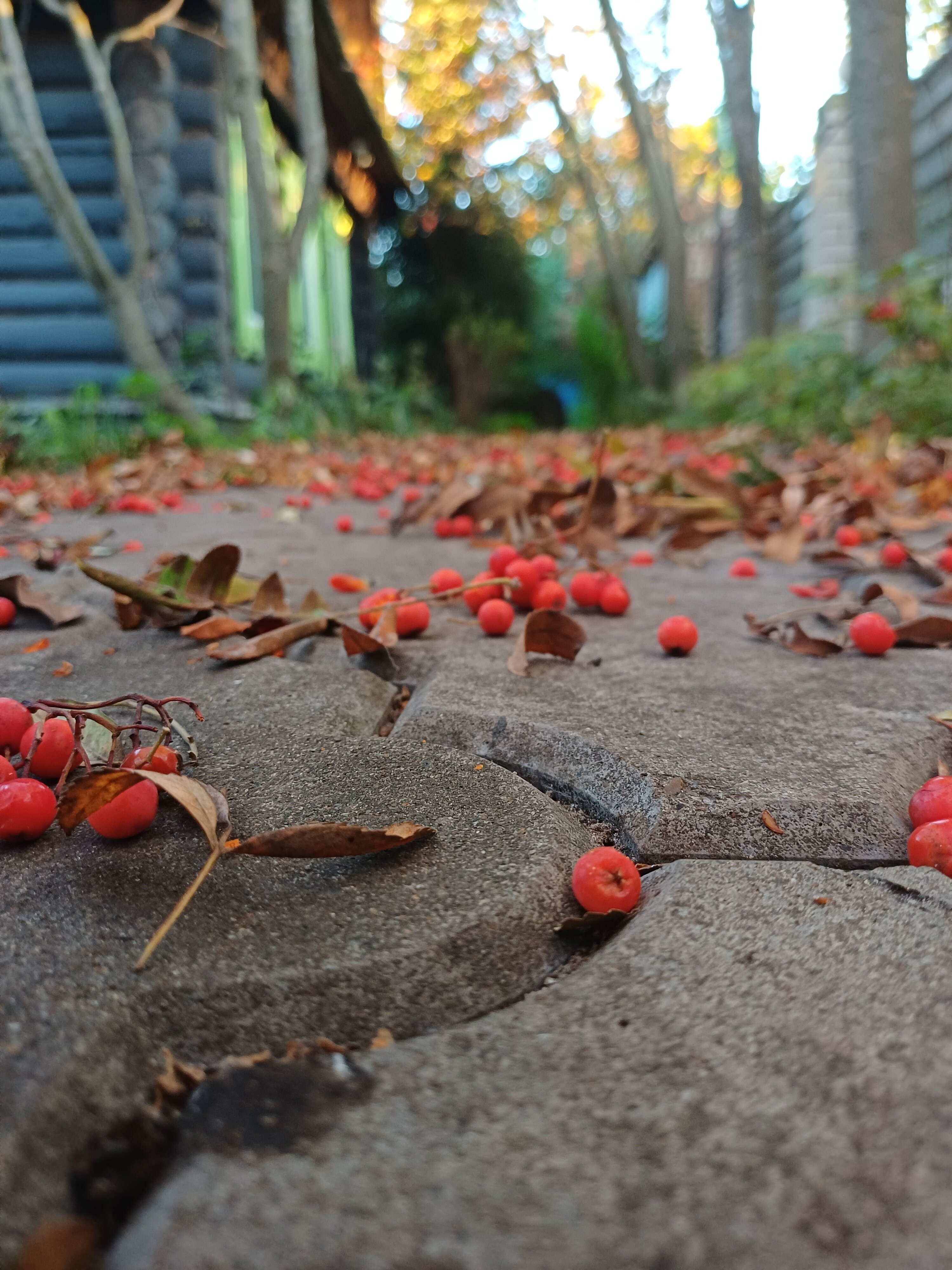 Фото Усадьба