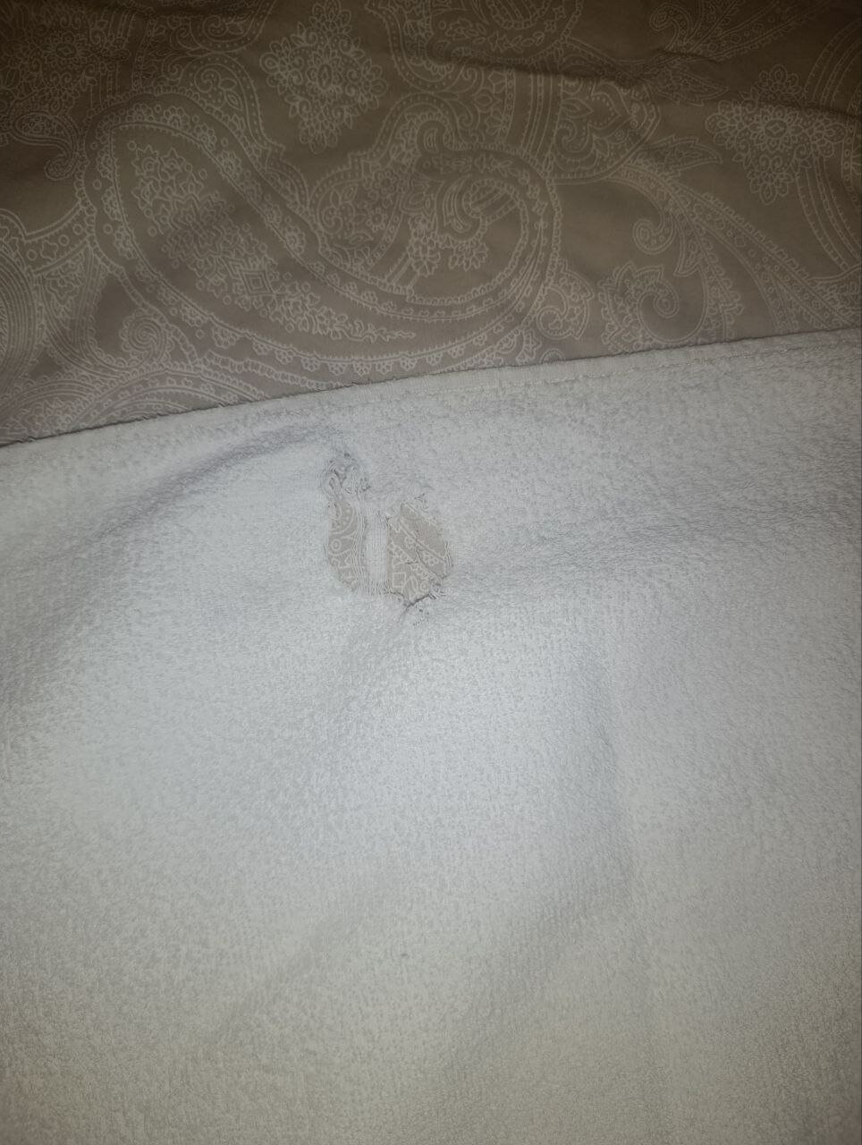 Фото Дворянское гнездо