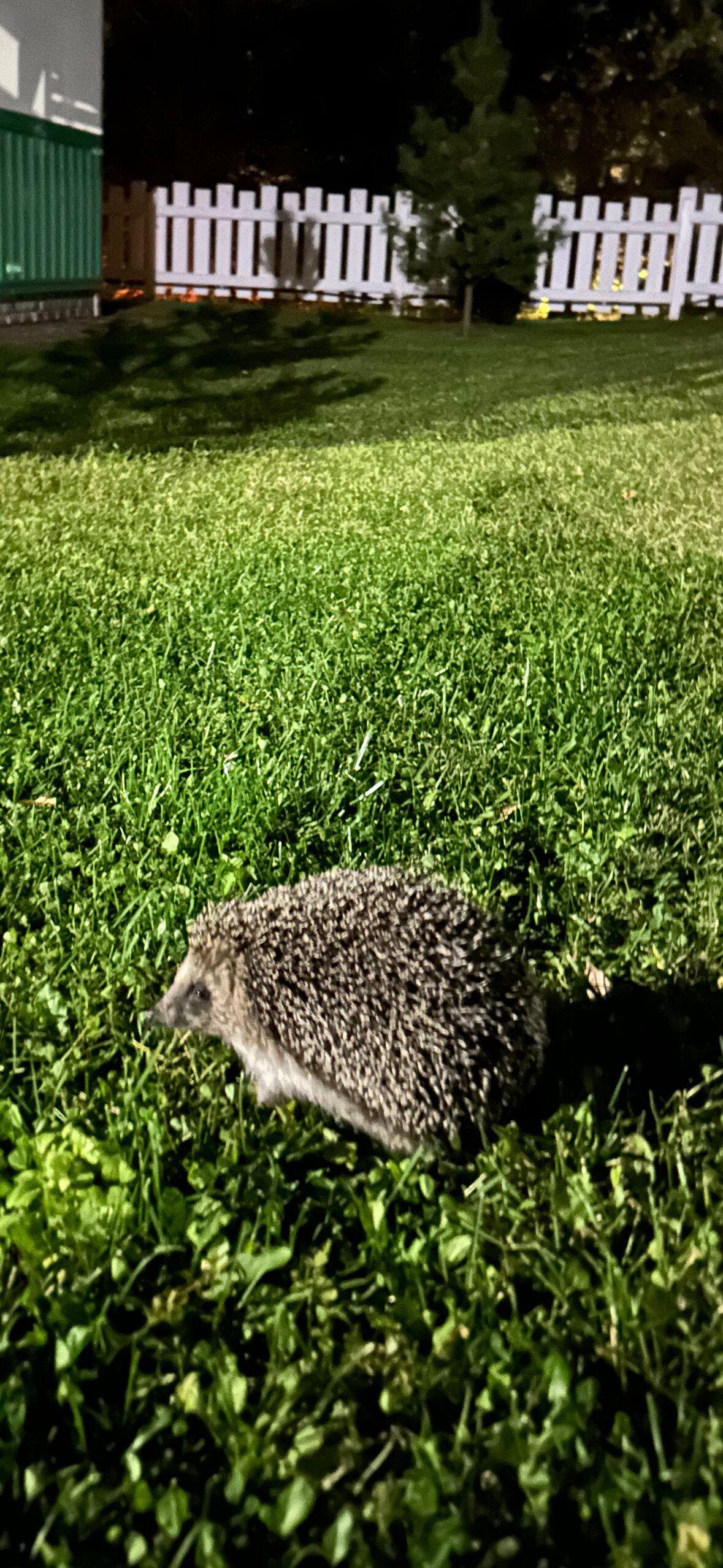 Фото Гостевой комплекс Сычёвки