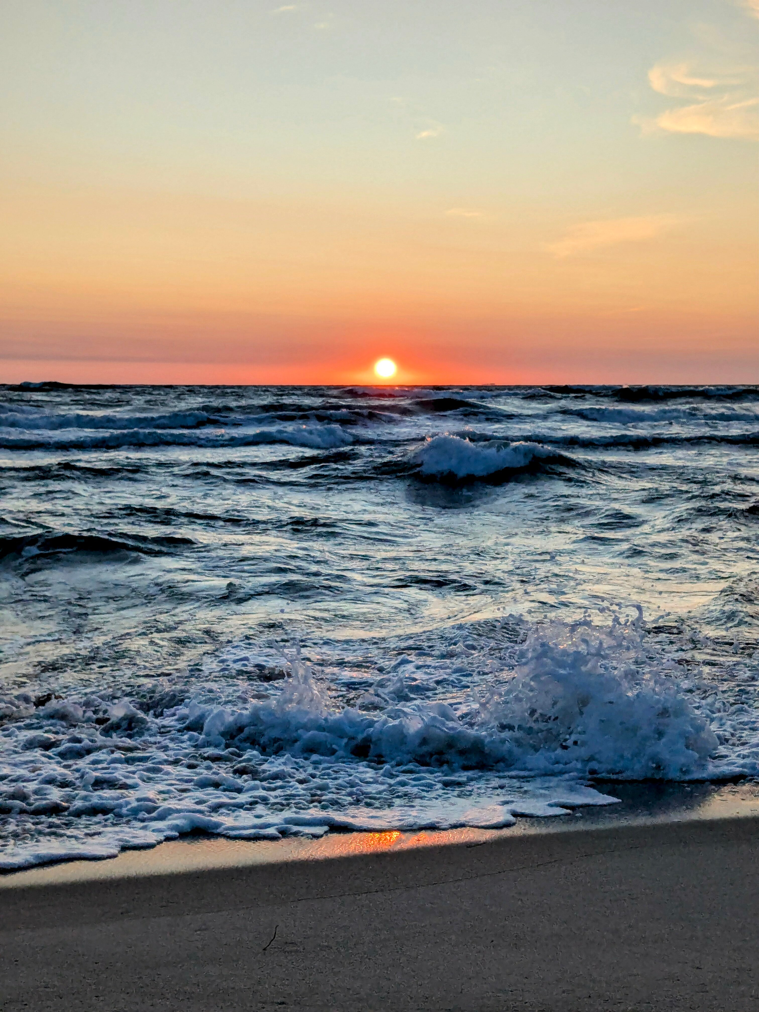 Фото Золотая Орхидея