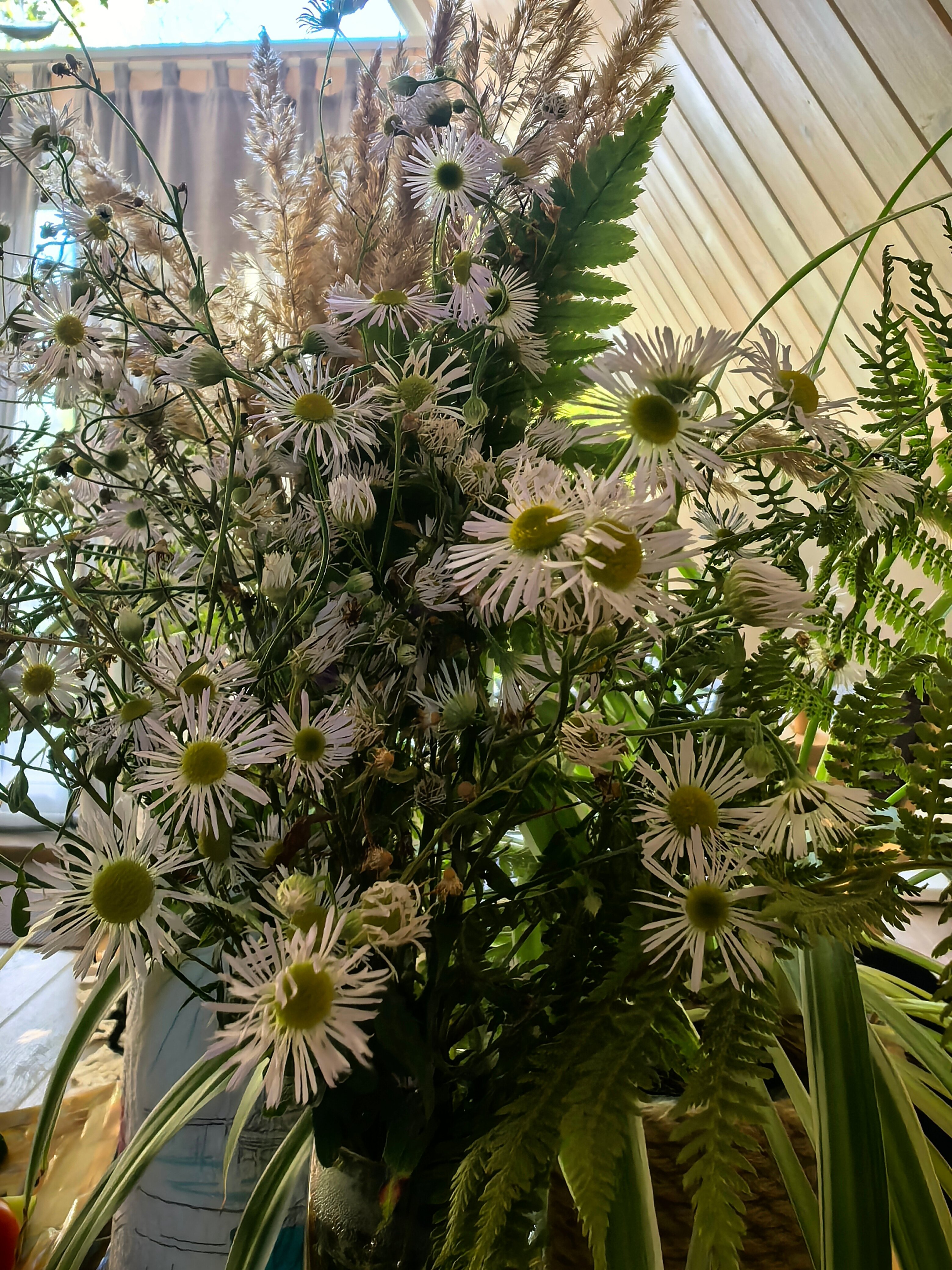 Фото Indie House