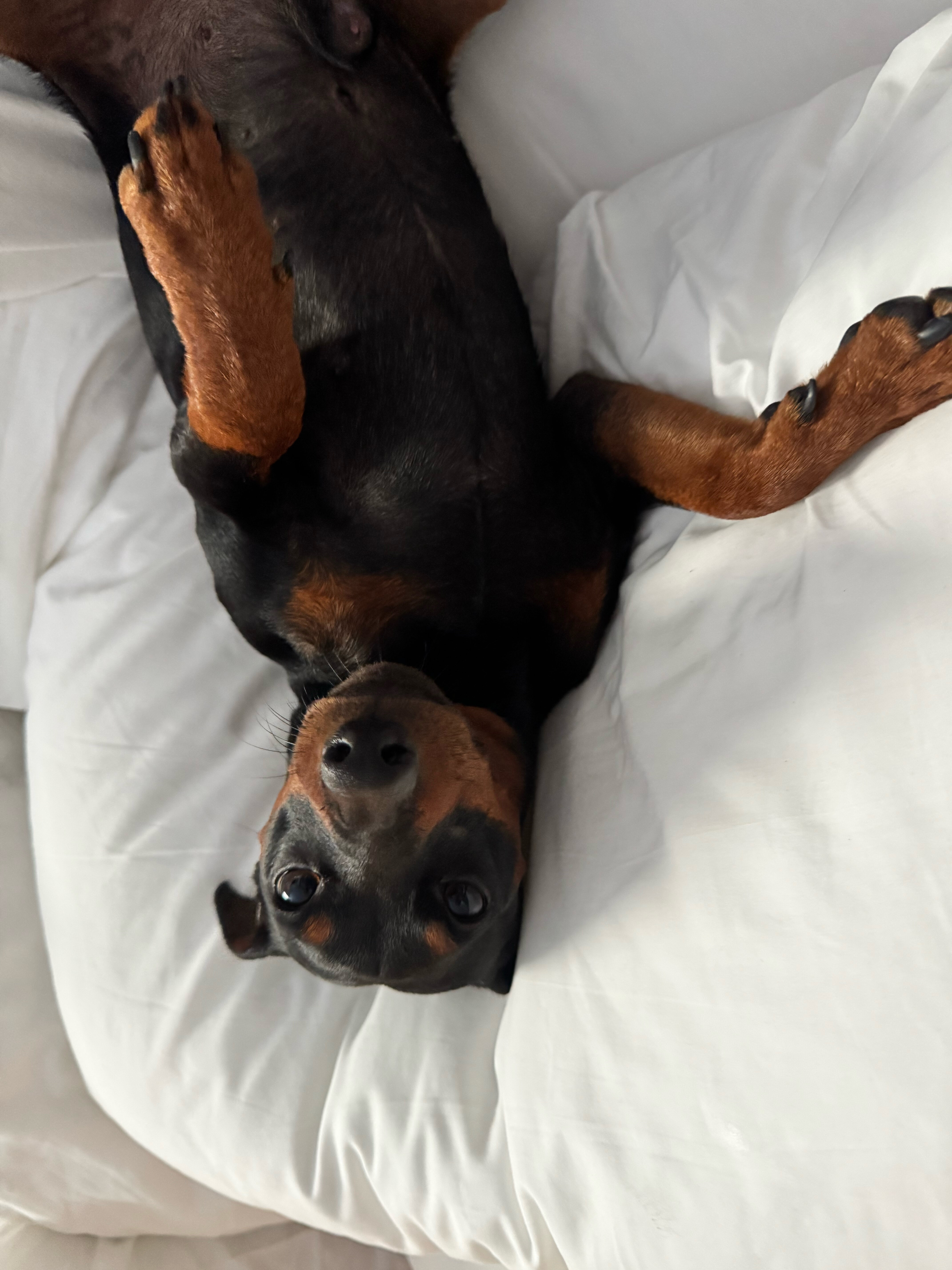 Фото Ibis Ярославль Центр