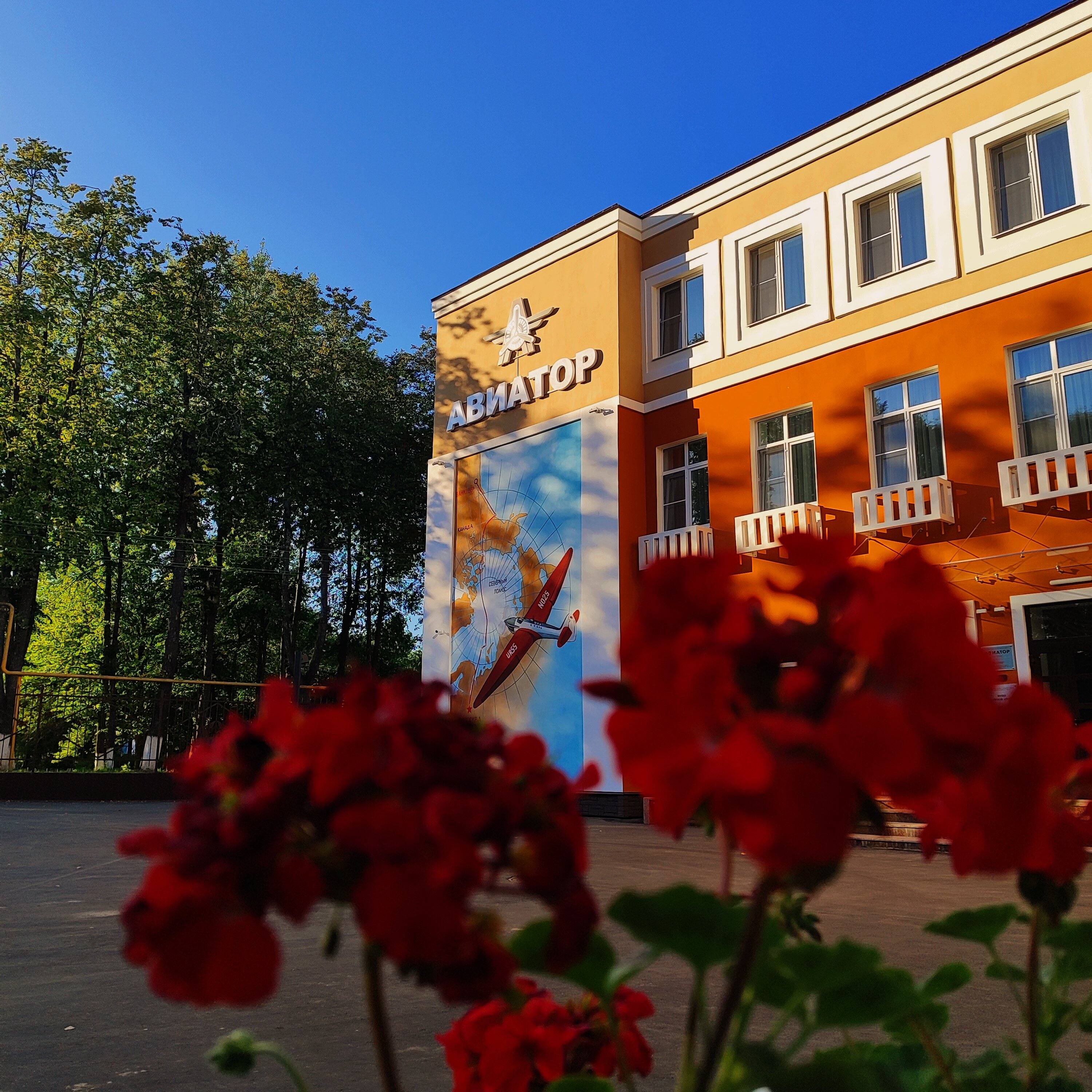 Фото Авиатор