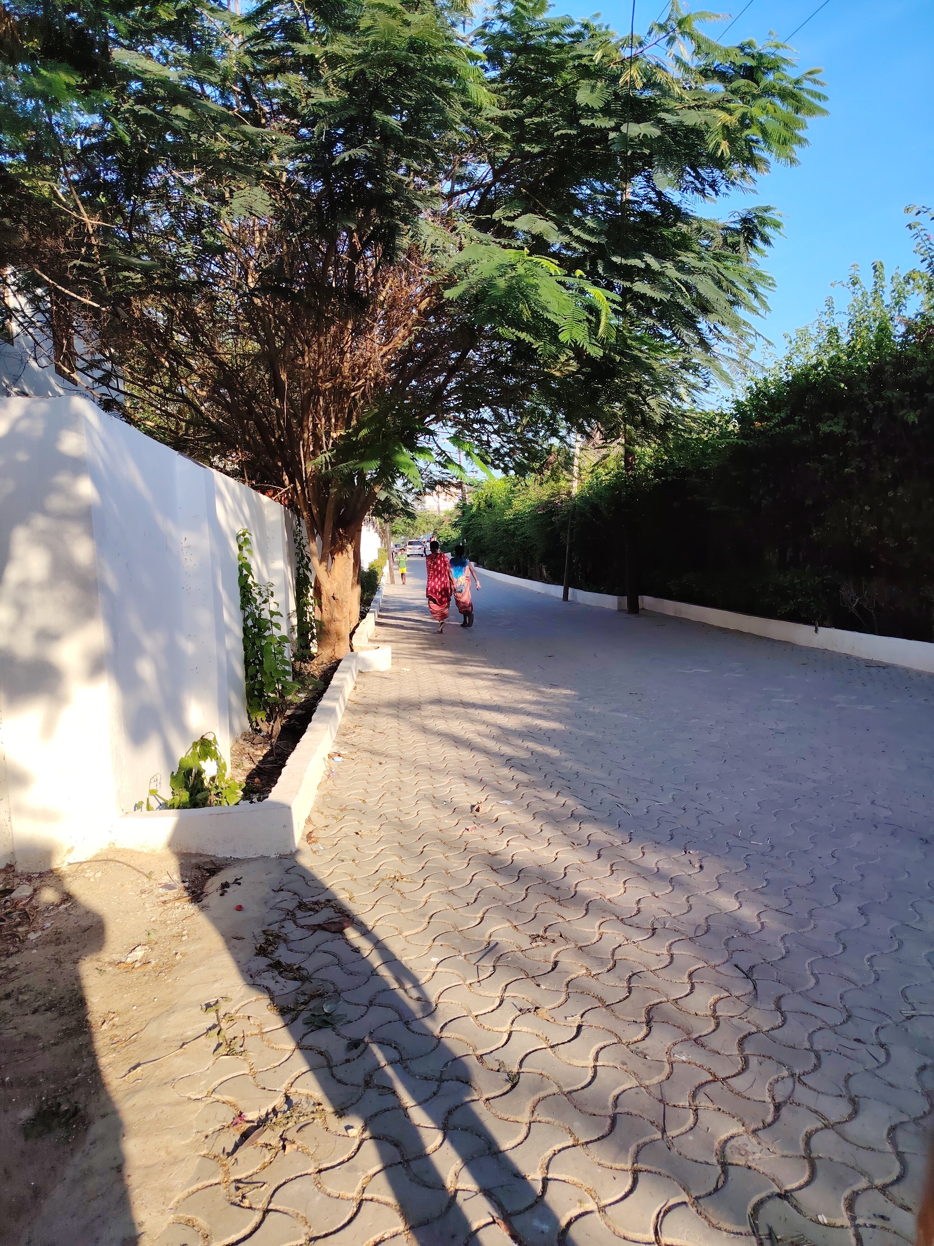 Фото Kigwedeni Villas